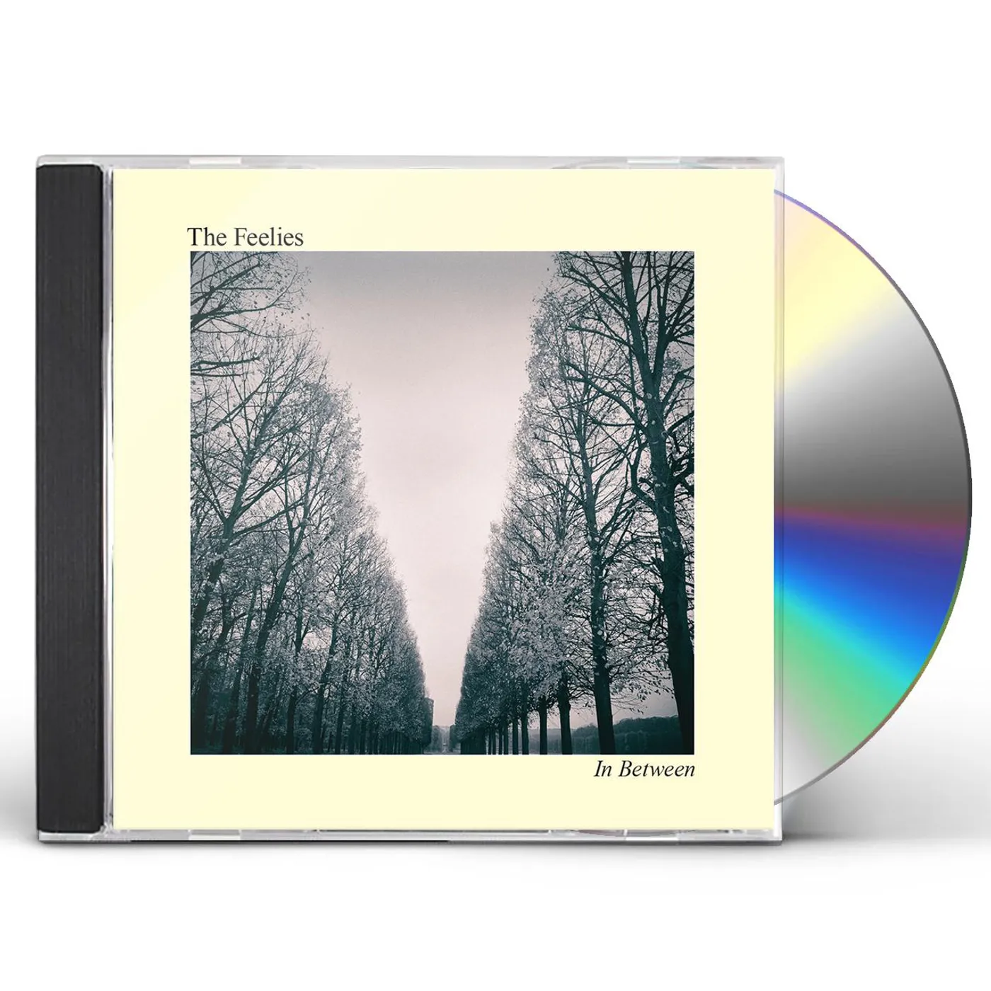 The Feelies IN BETWEEN CD
