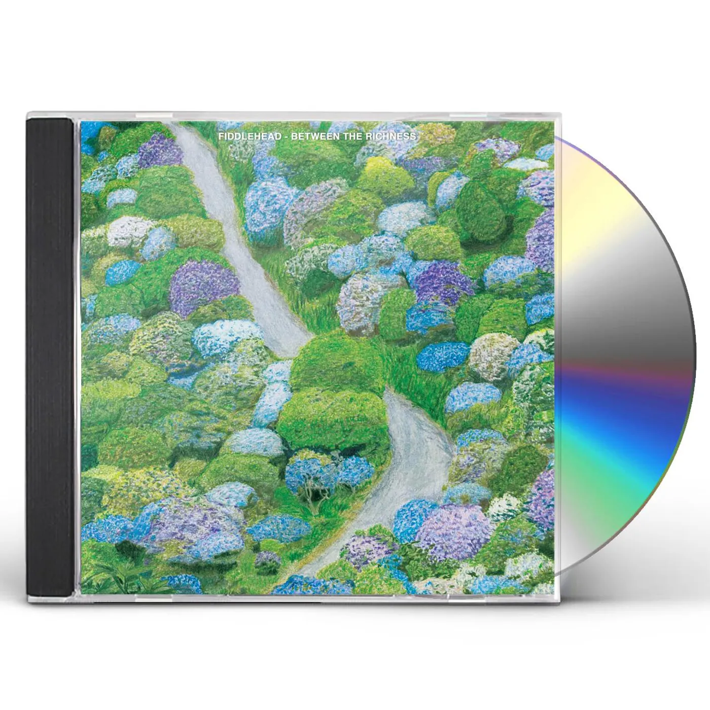 Fiddlehead BETWEEN THE RICHNESS CD