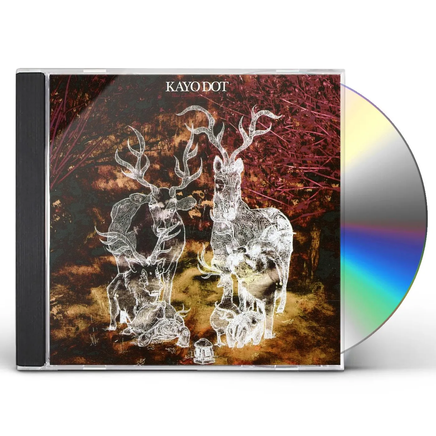 Kayo Dot BLUE LAMBENCY DOWNWARD CD
