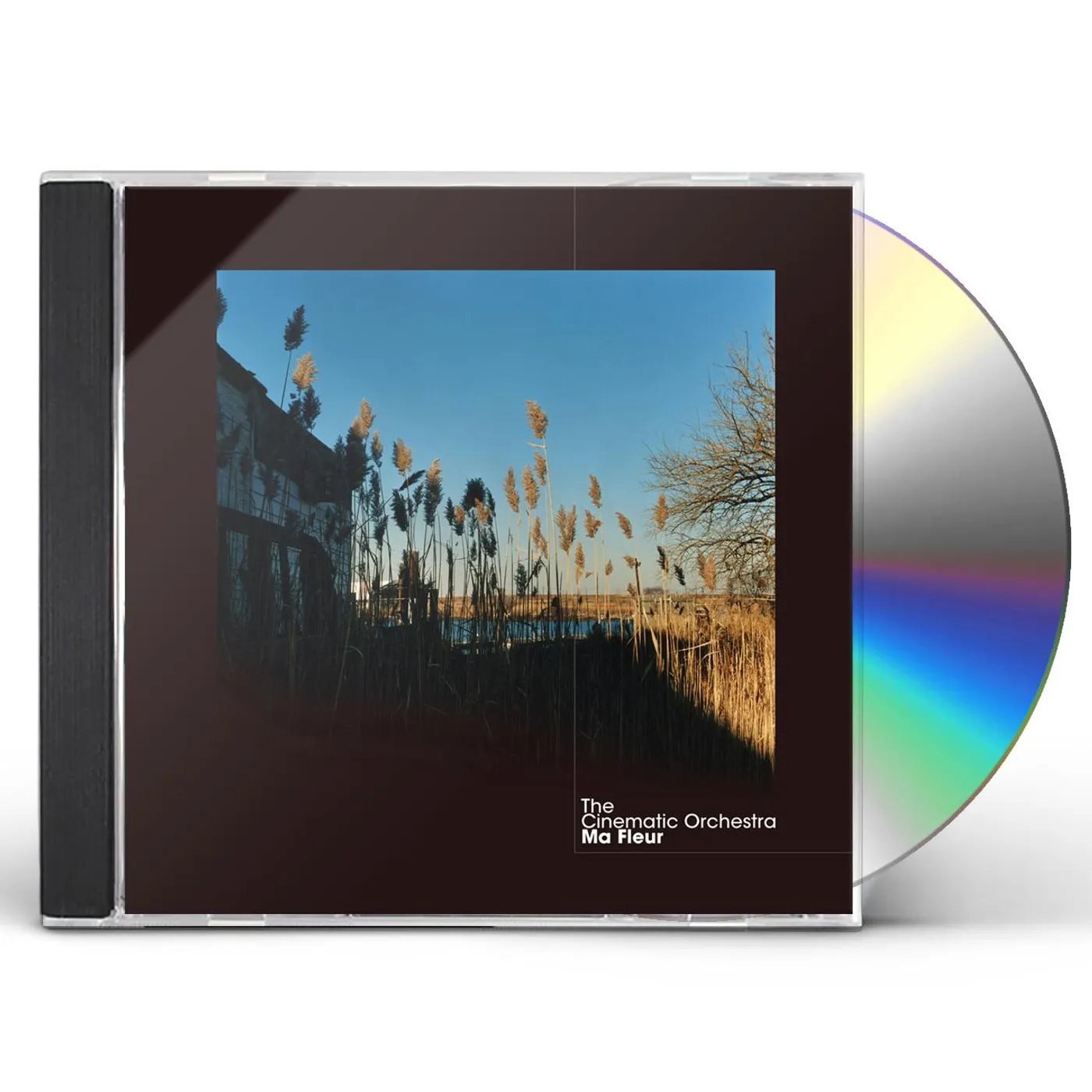 The Cinematic Orchestra MA FLEUR CD