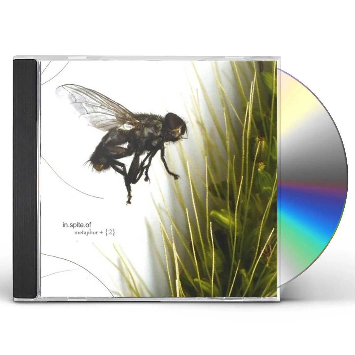 in.spite.of METAPHOR CD