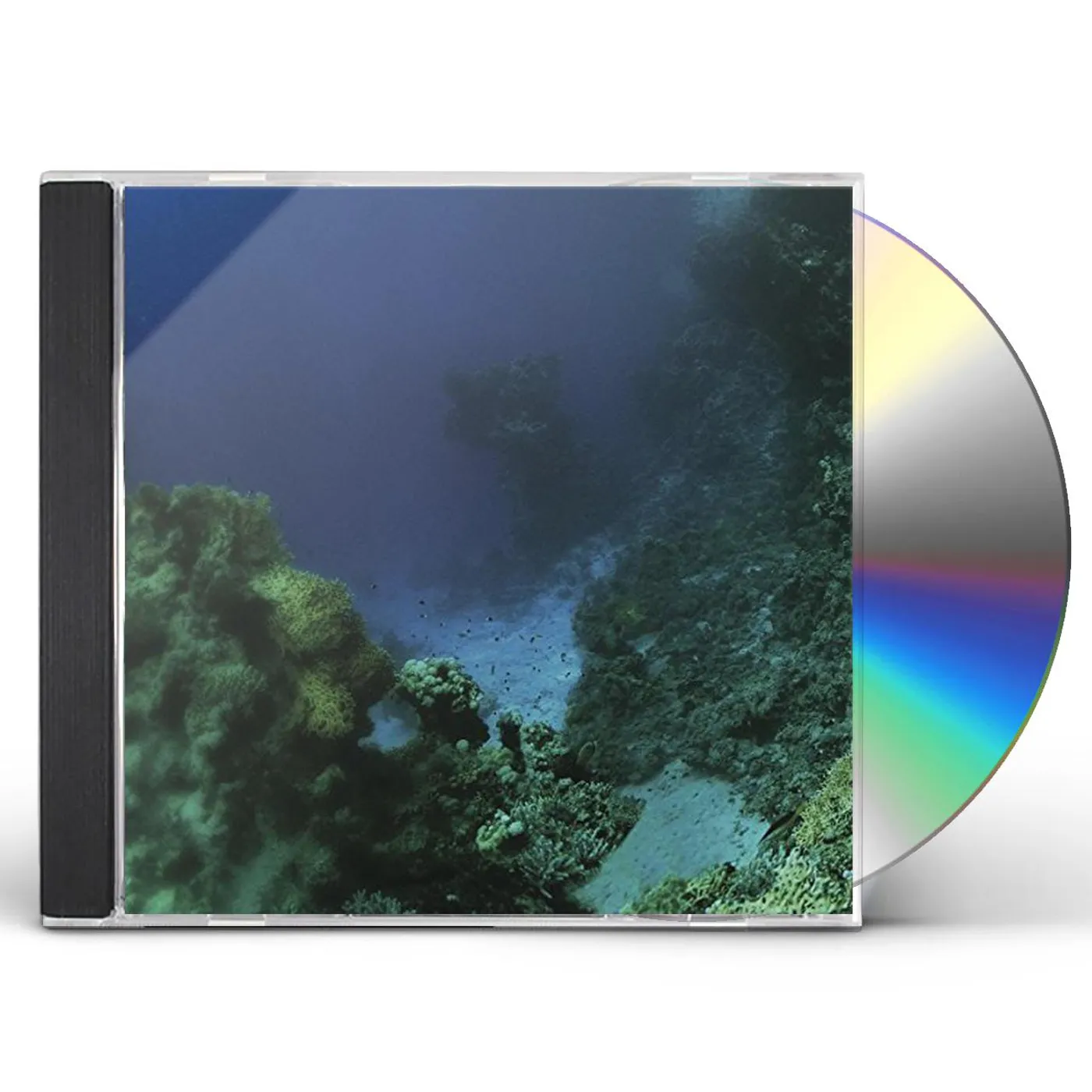 Tiny Fingers FALL CD