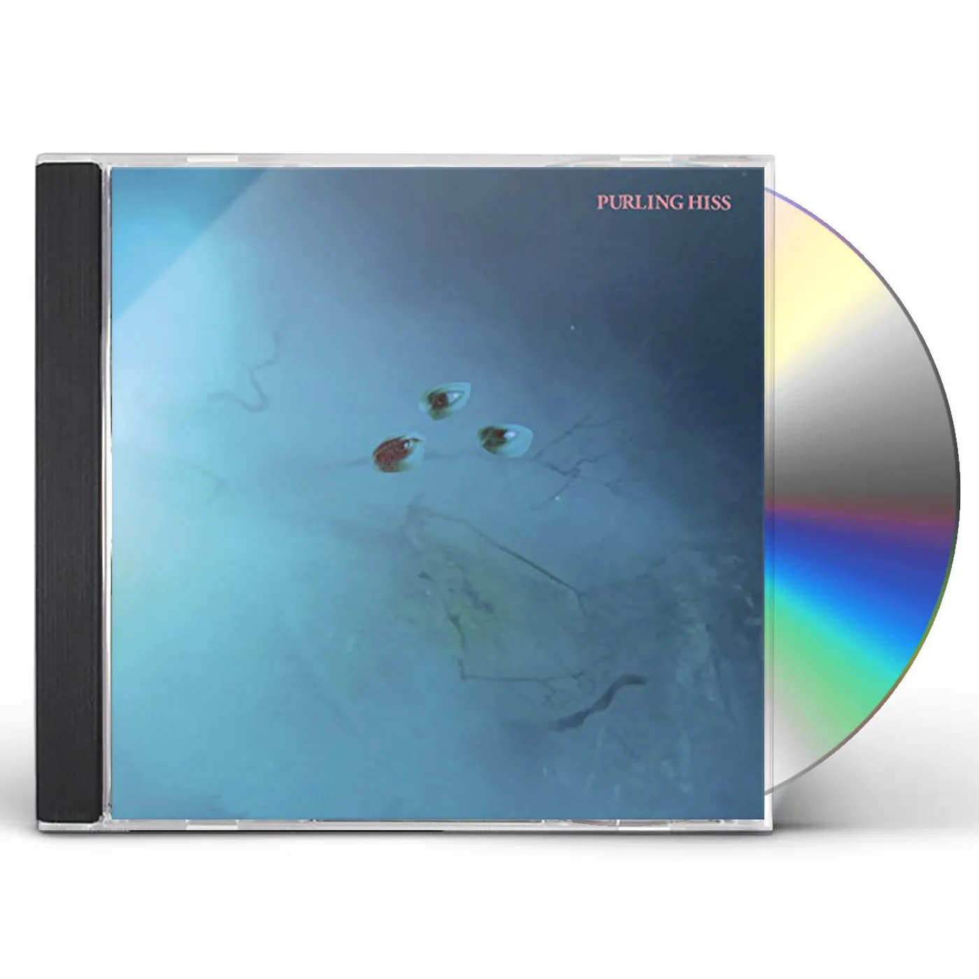 Purling Hiss HIGH BIAS CD