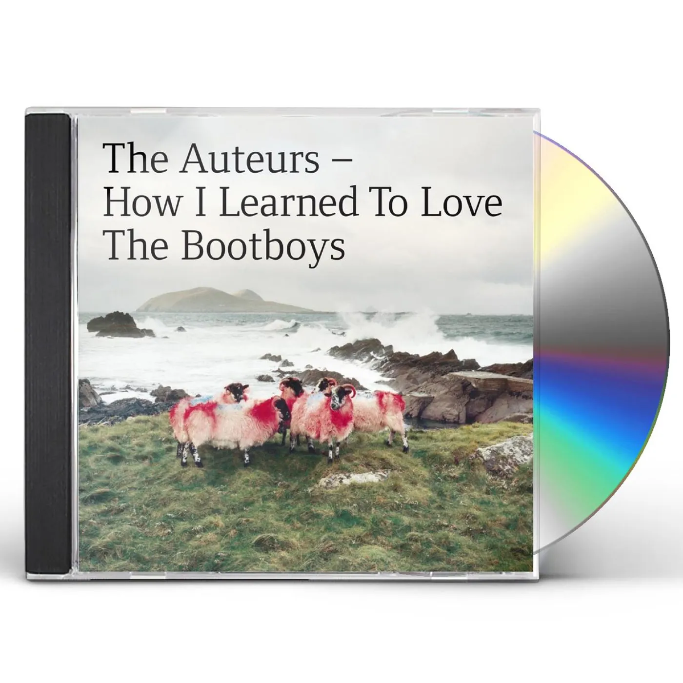 The Auteurs HOW I LEARNED TO LOVE THE BOOTBOYS CD