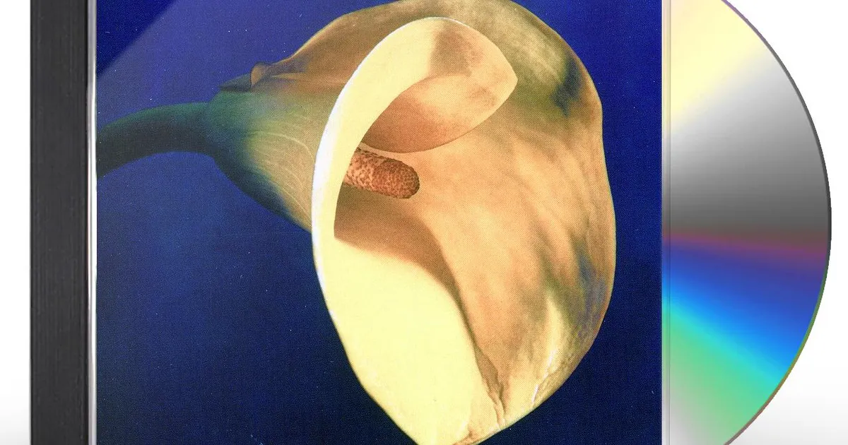洋楽 Swans 9th CD Amazon.co.jp: The Seer: ミュージック