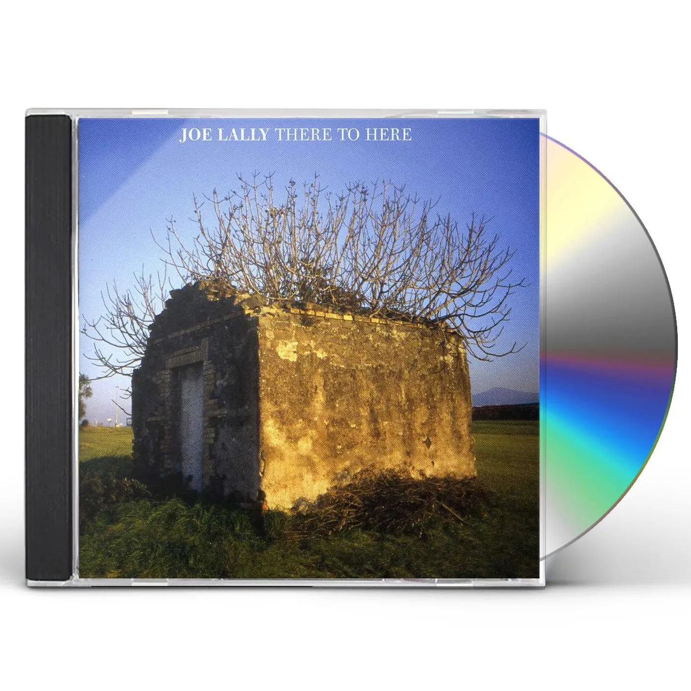 Joe Lally THERE TO HERE CD