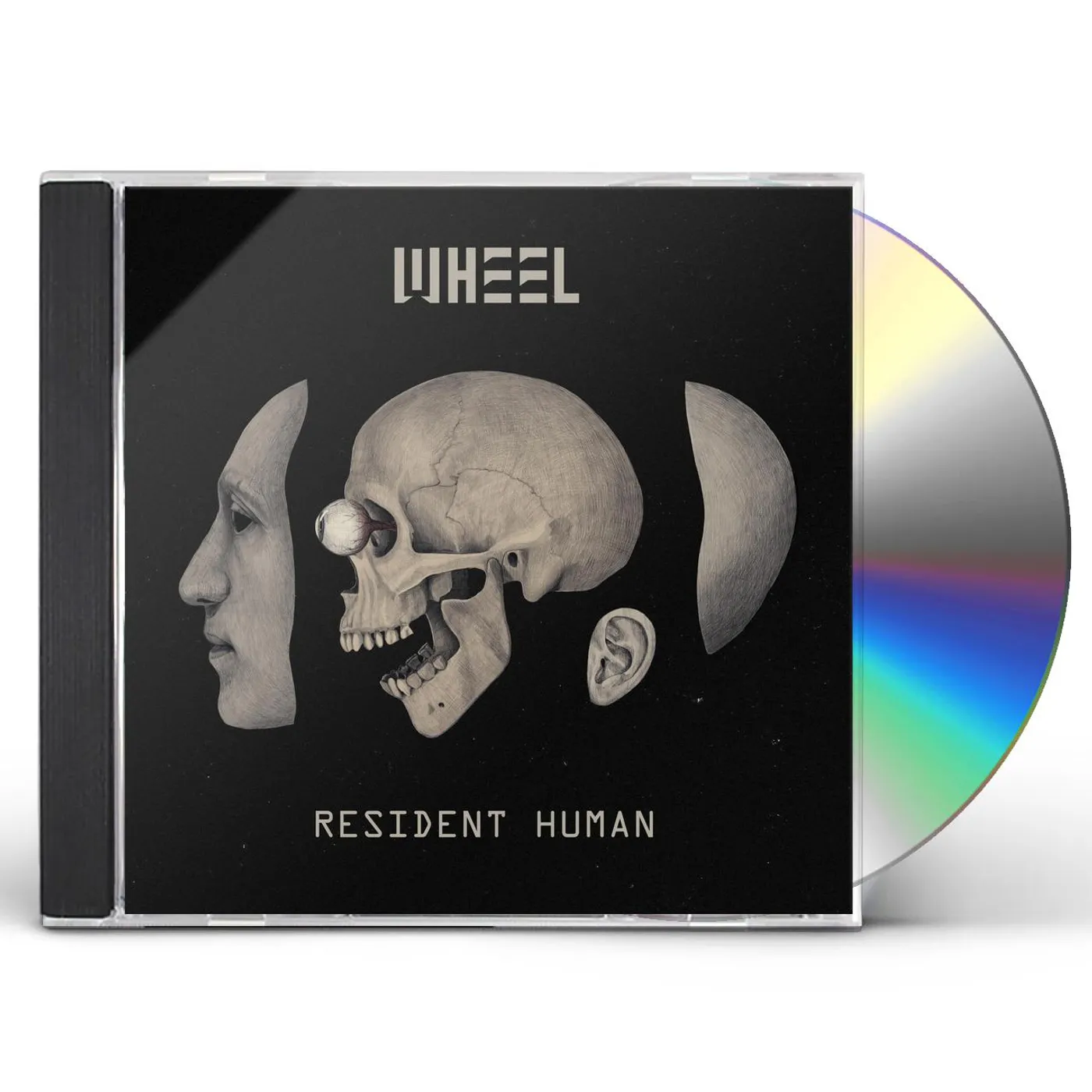 Wheel Resident Human CD