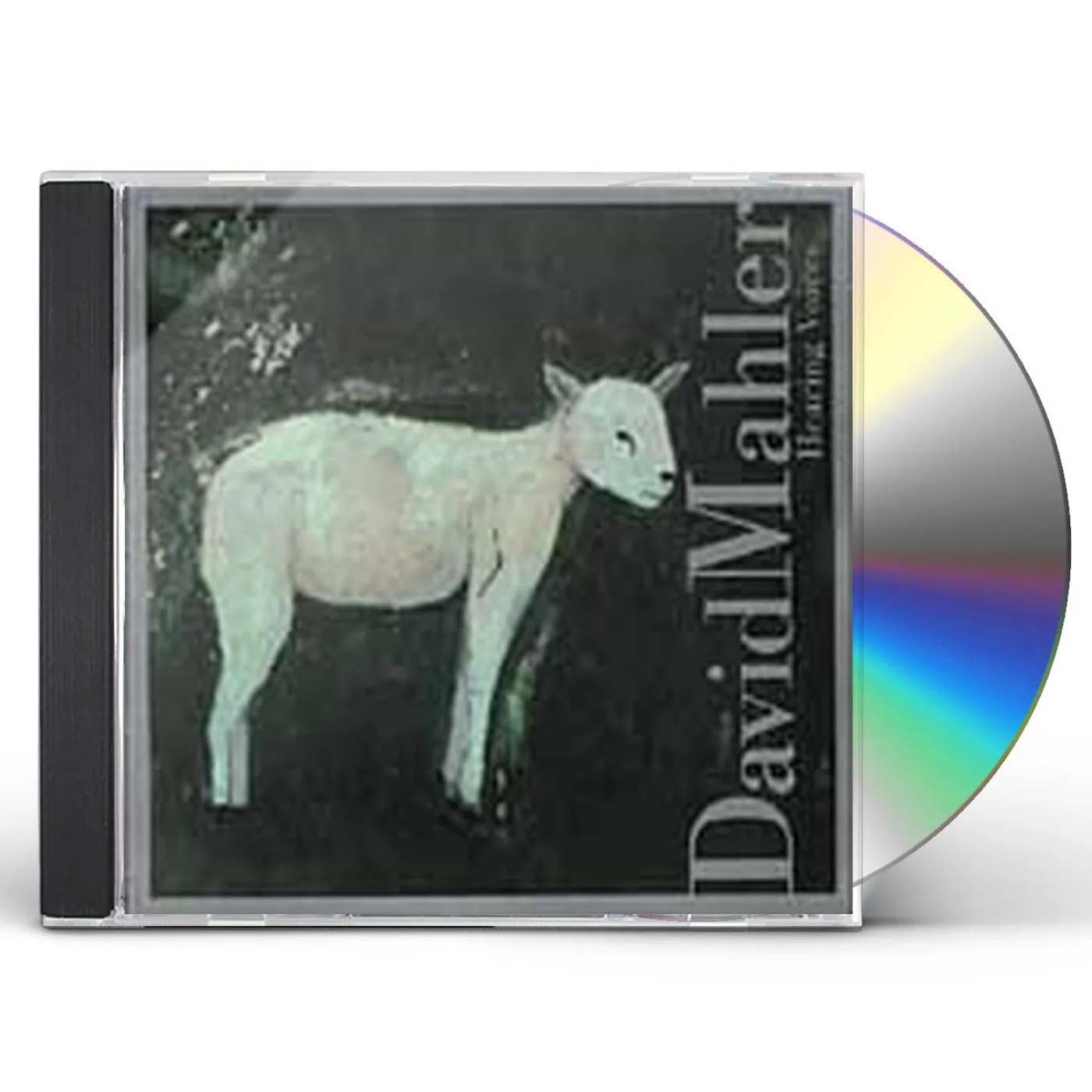 David Mahler HEARING VOICES CD