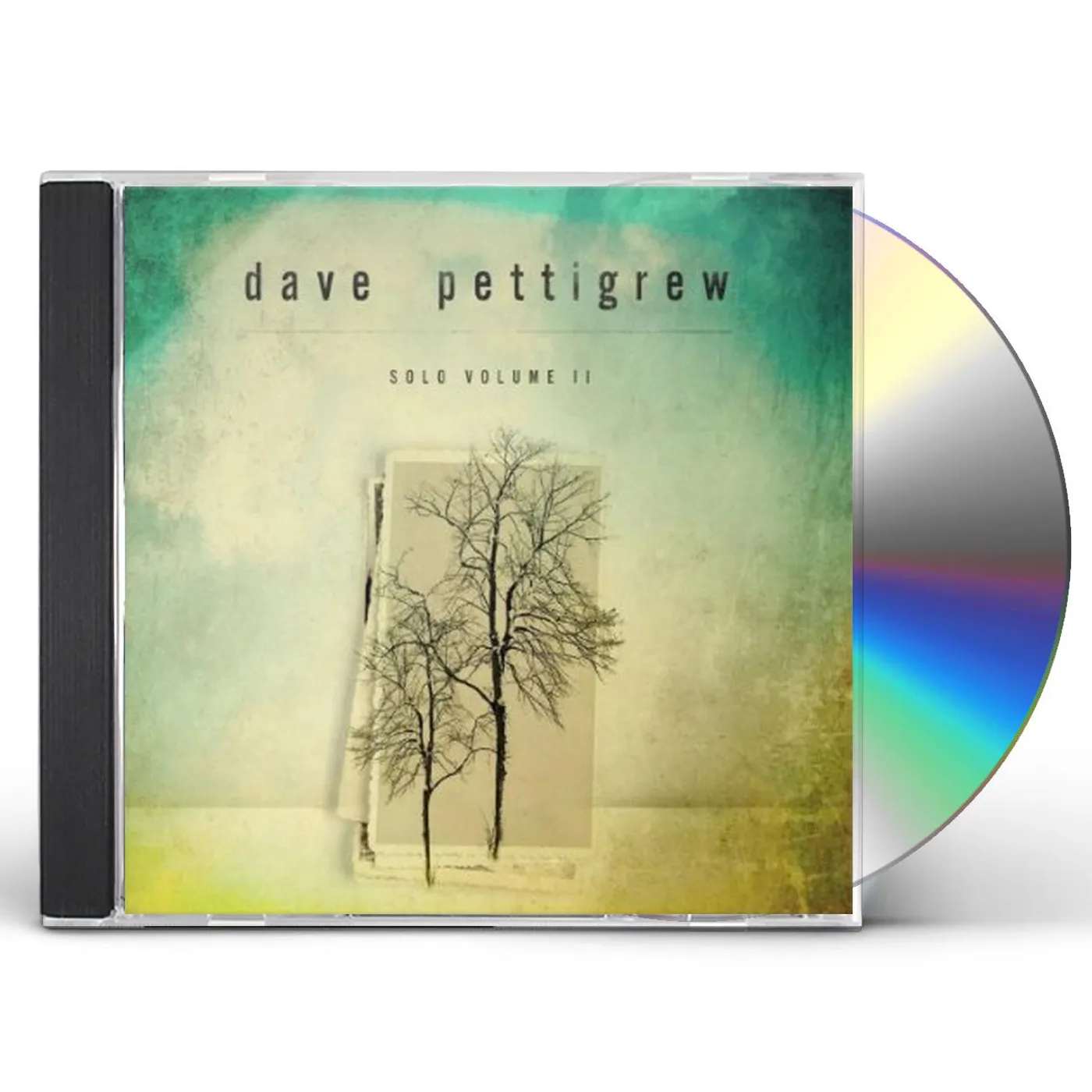 Dave Pettigrew SOLO 2 CD
