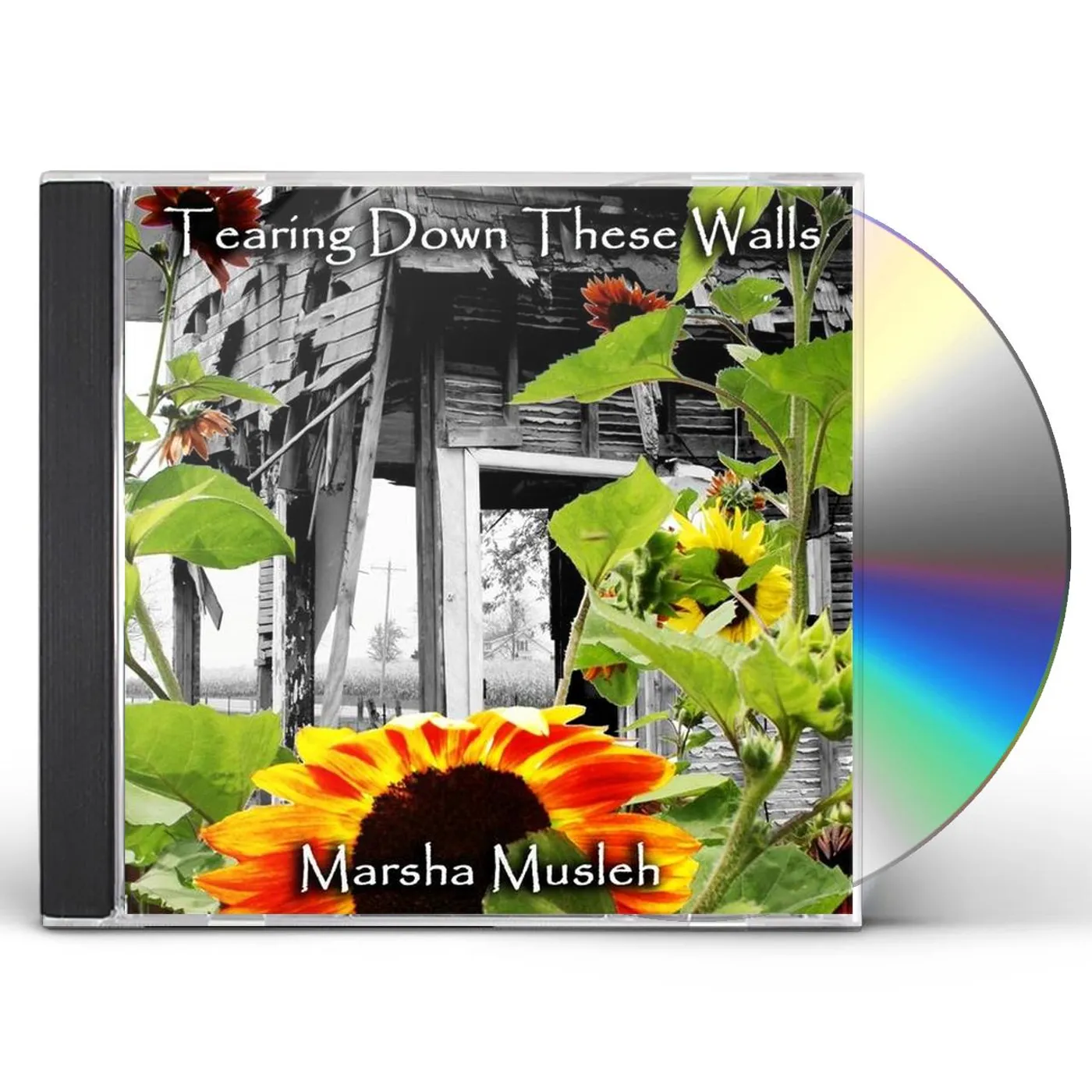 Marsha Musleh TEARING DOWN THESE WALLS CD