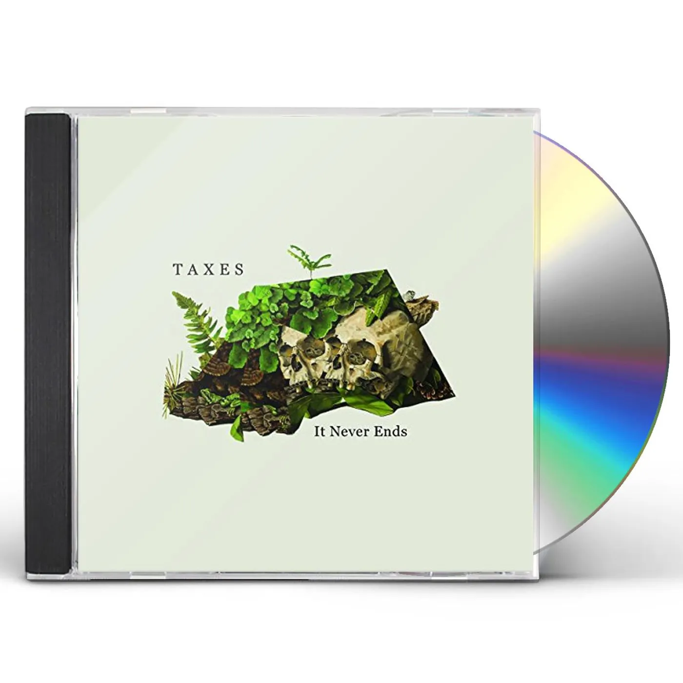Taxes IT NEVER ENDS CD