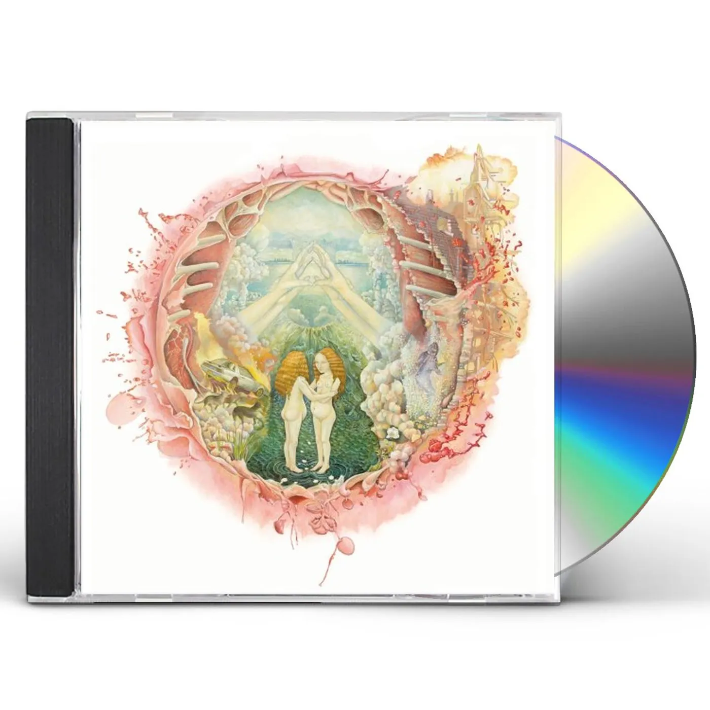 Islands ARM'S WAY CD
