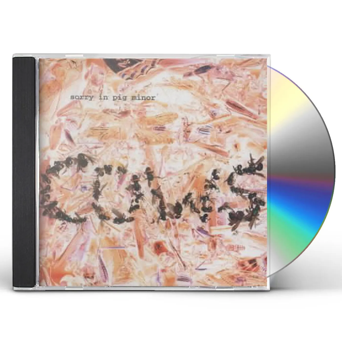 Cows SORRY IN PIG MINOR CD