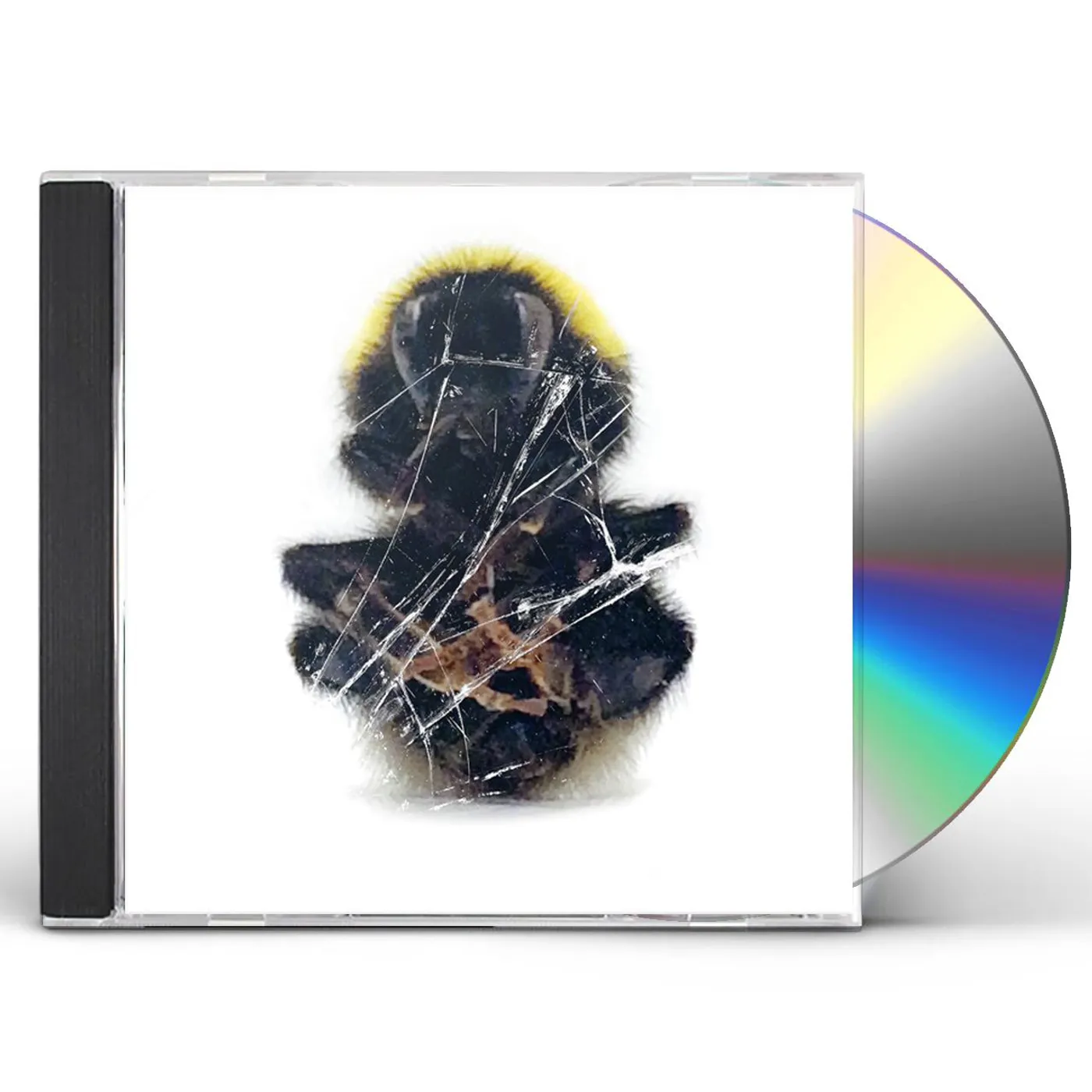 Deadbeat WALLS & DIMENSIONS CD