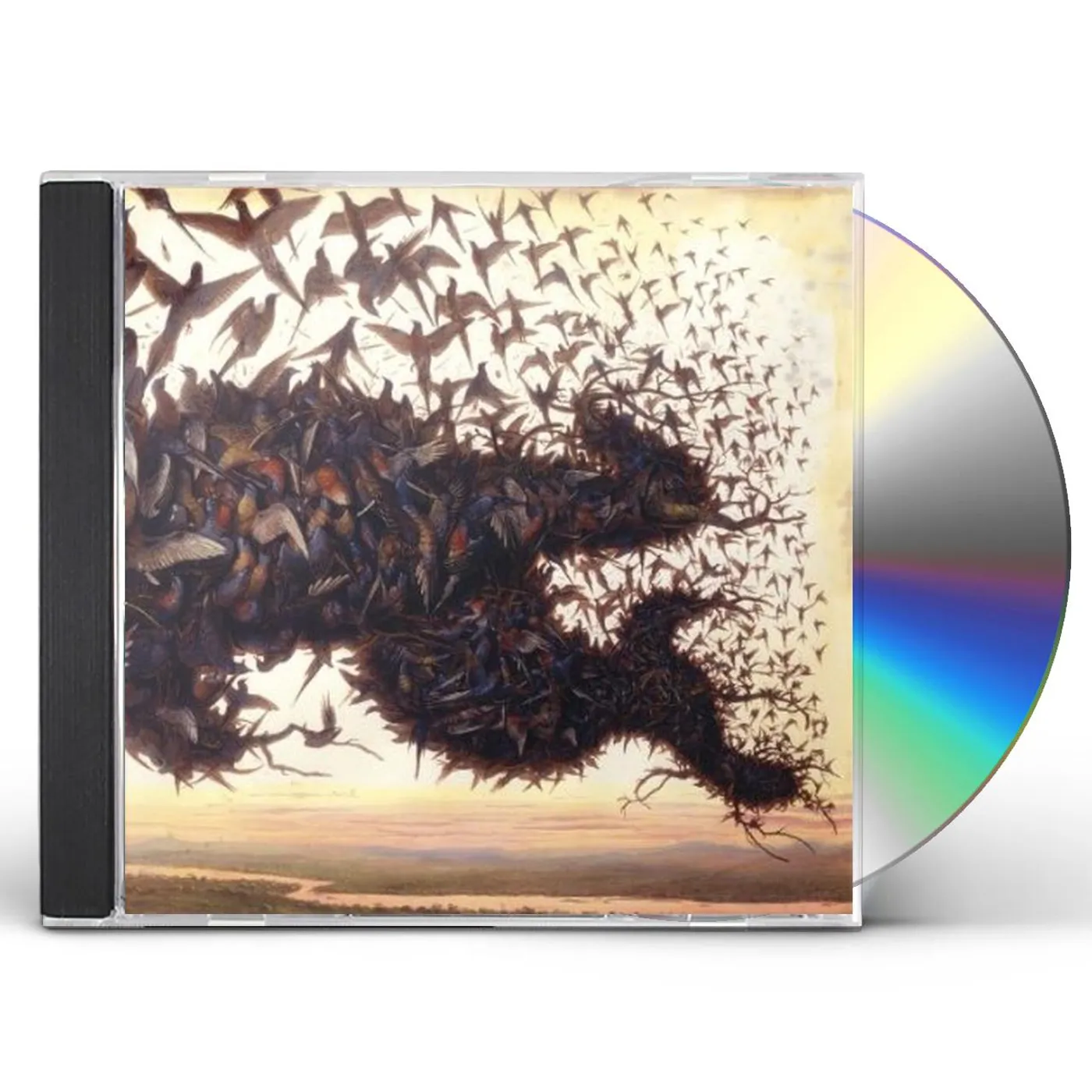 Kiev FALLING BOUGH WISDOM TEETH CD