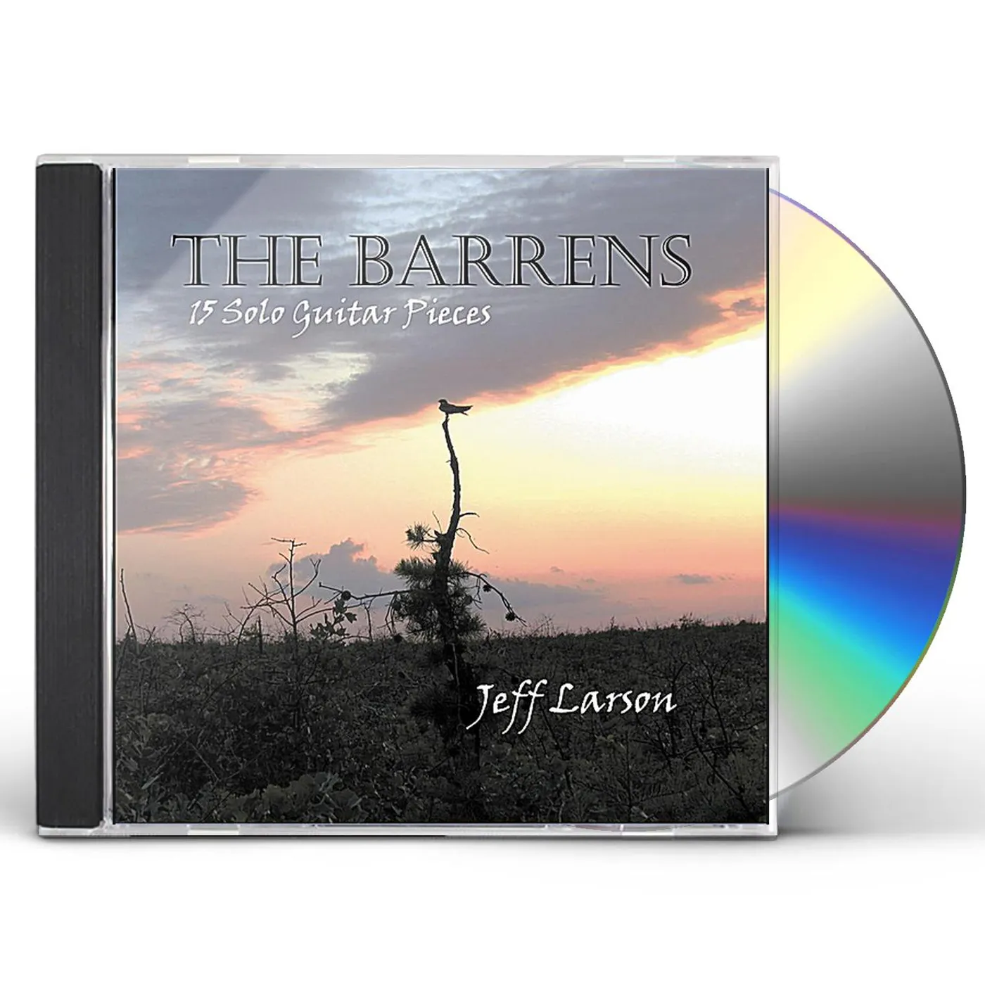 Jeff Larson BARRENS CD