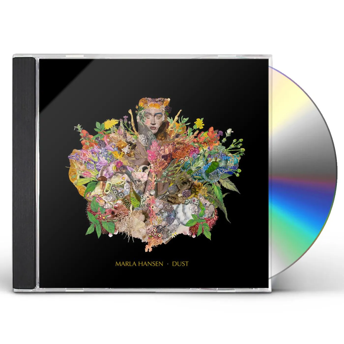 Marla Hansen DUST CD