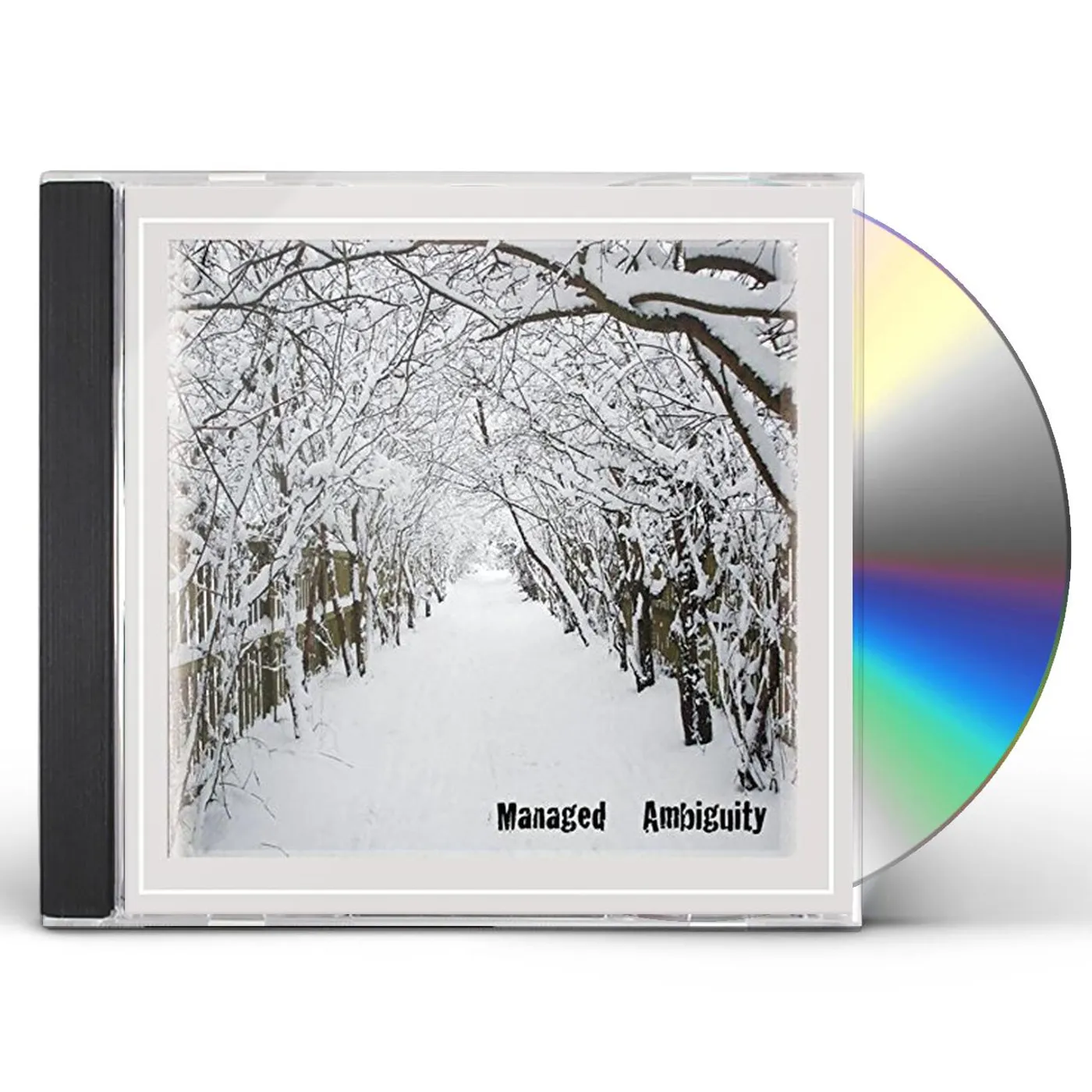 KC Phillips MANAGED AMBIGUITY CD