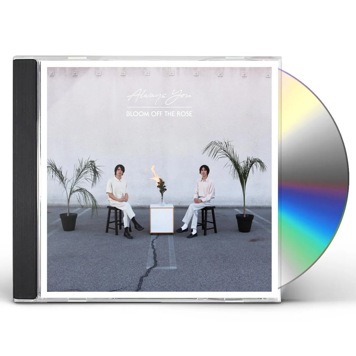 Always You Bloom Off the Rose Vinyl Record
