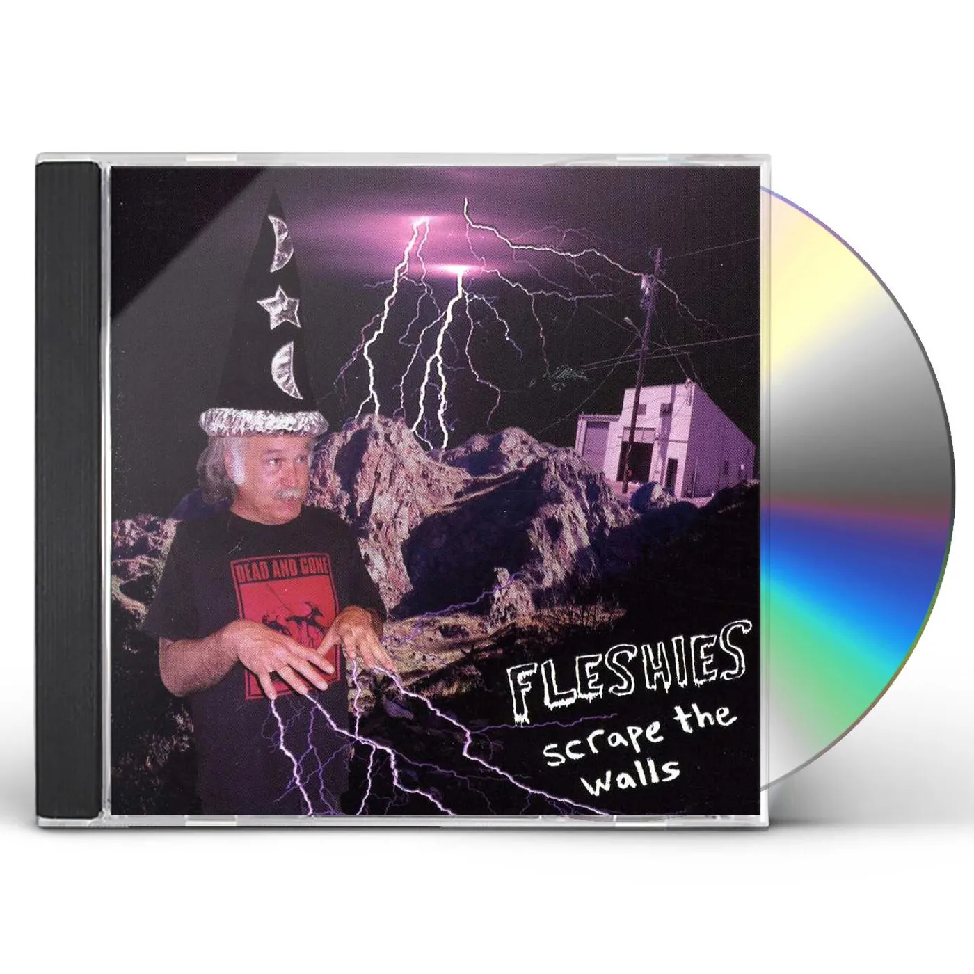 Fleshies SCRAPE THE WALLS CD