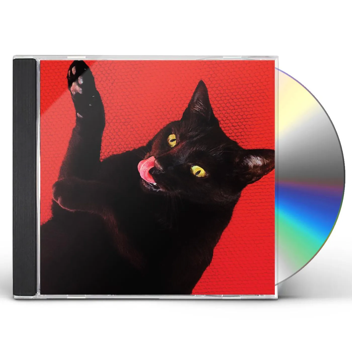 Ryan Adams BIG COLORS CD