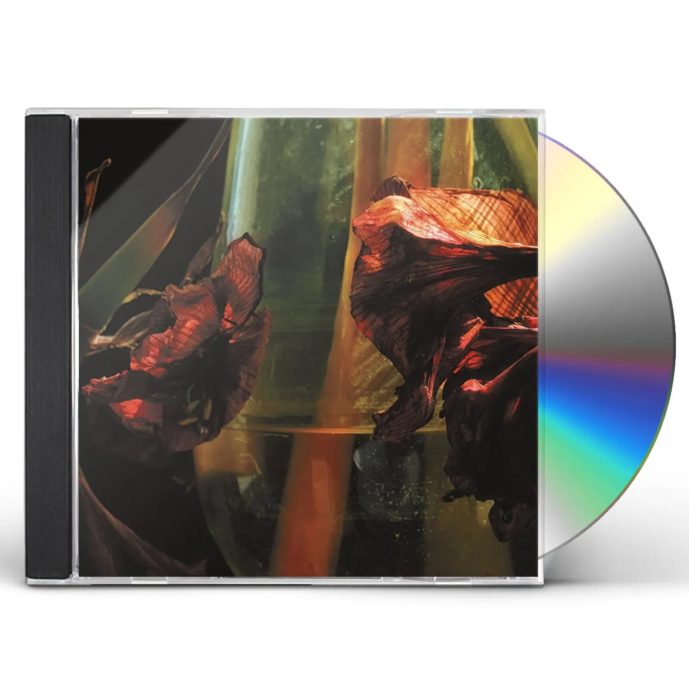 Hayvanlar Alemi PSYCHEDELIA IN TIMES OF TURBULENCE CD