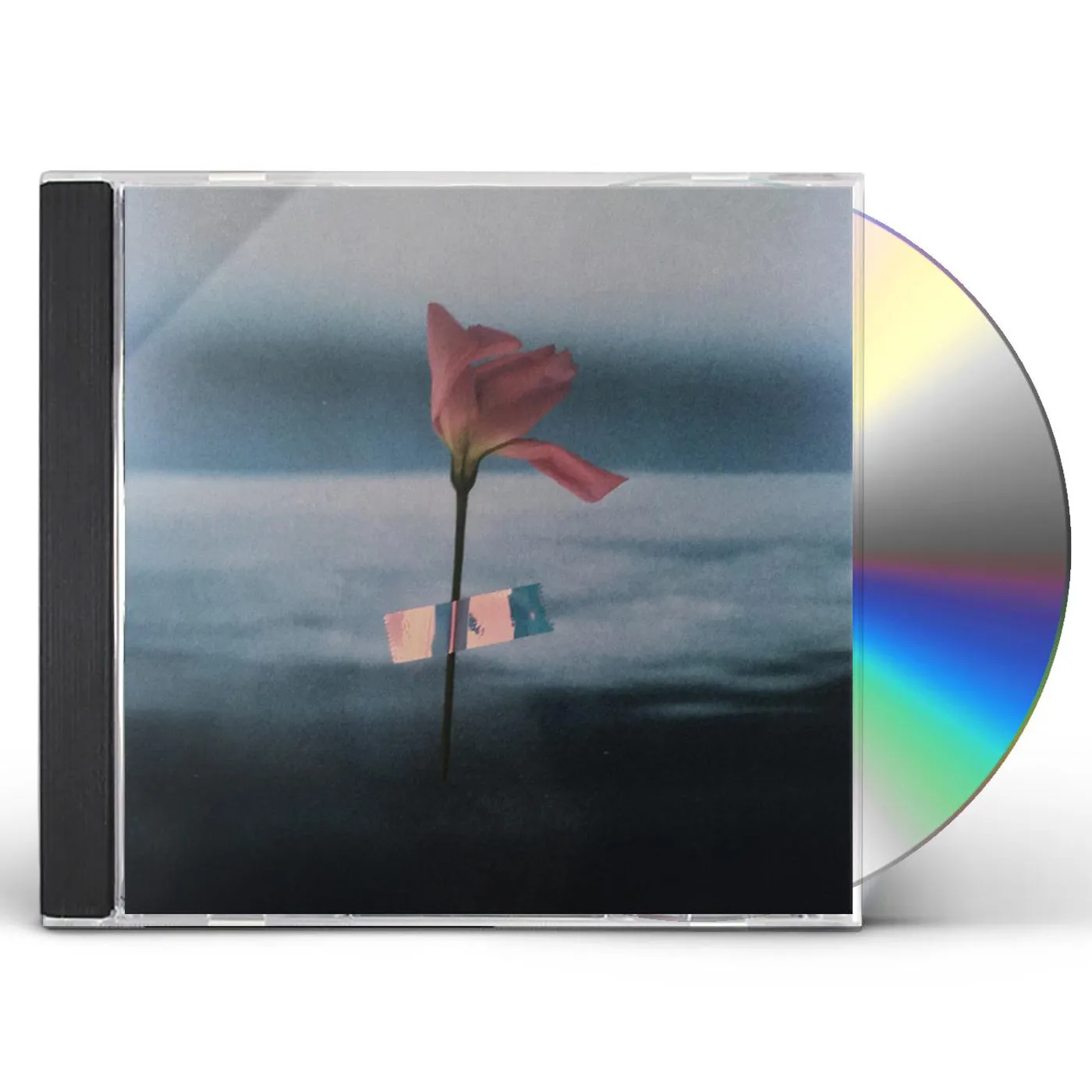 Will Samson PARALANGUAGE CD