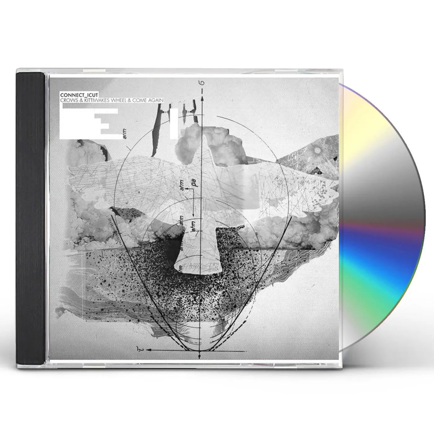 Connecticut CROWS & KITTIWAKES WHEEL & COME AGAIN CD