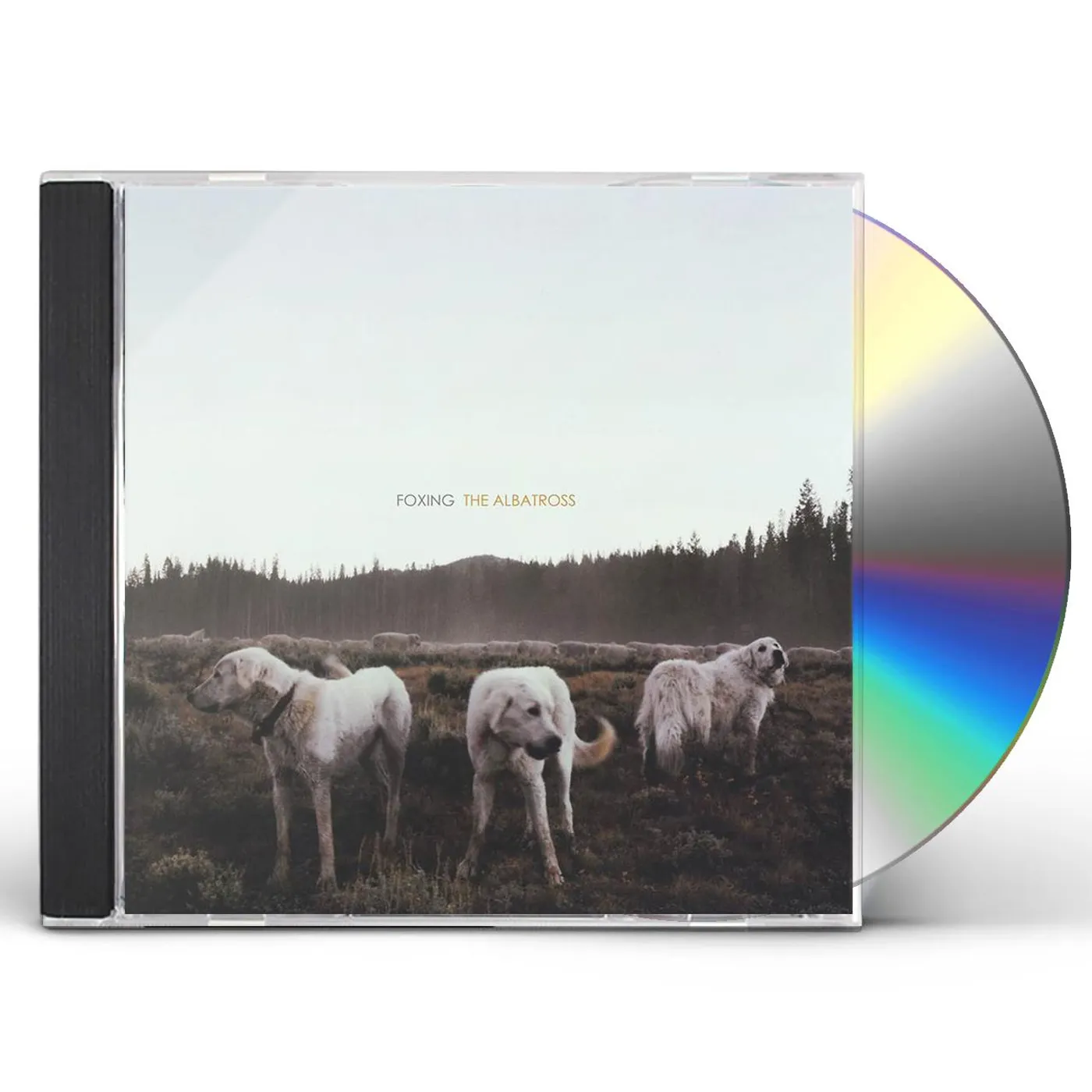 Foxing ALBATROSS CD