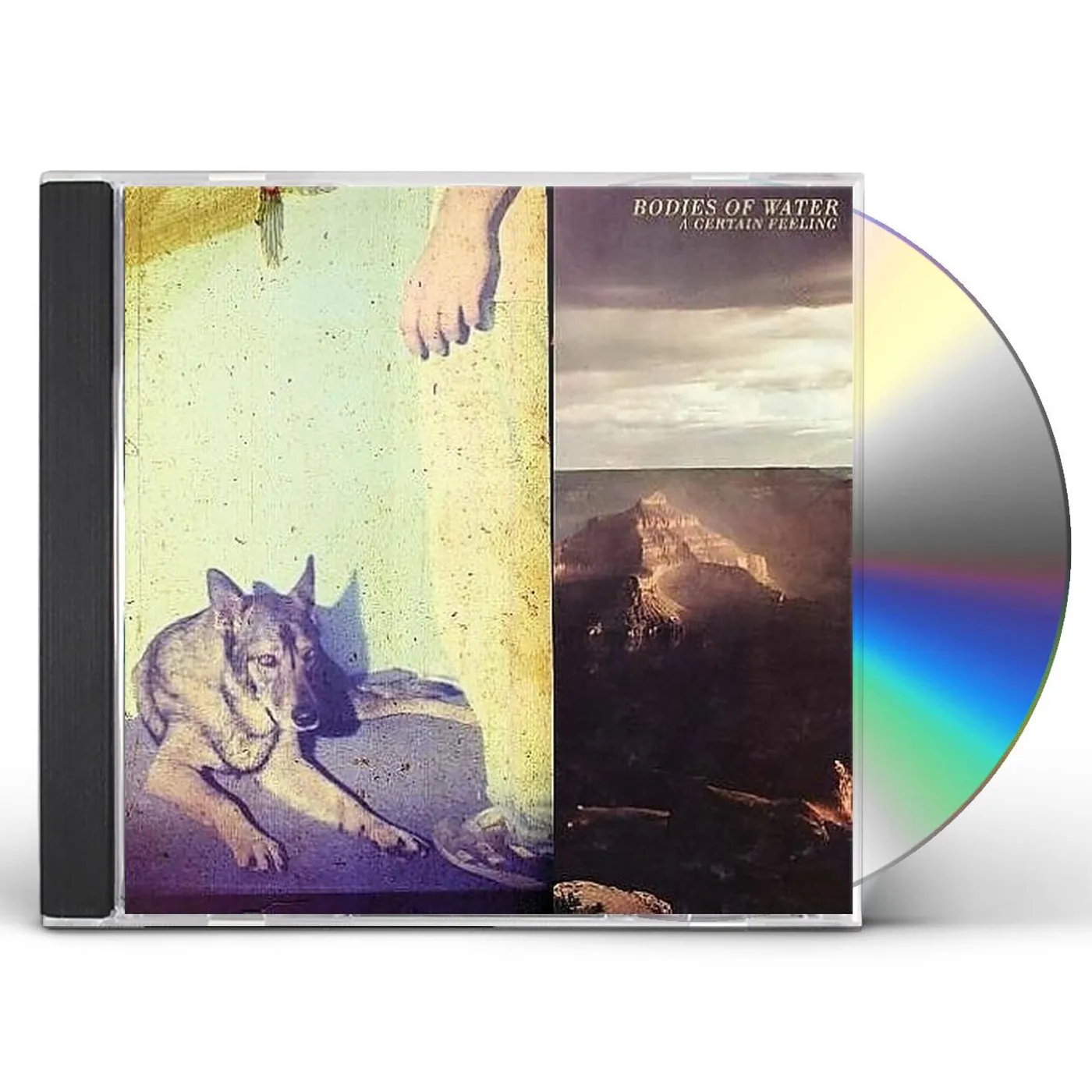 Bodies Of Water CERTAIN FEELING CD