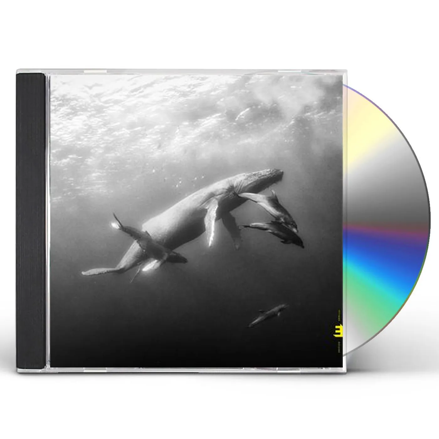 Kevin Hays Hope CD