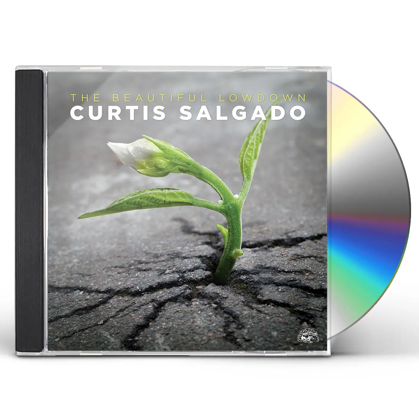 Curtis Salgado BEAUTIFUL LOWDOWN CD