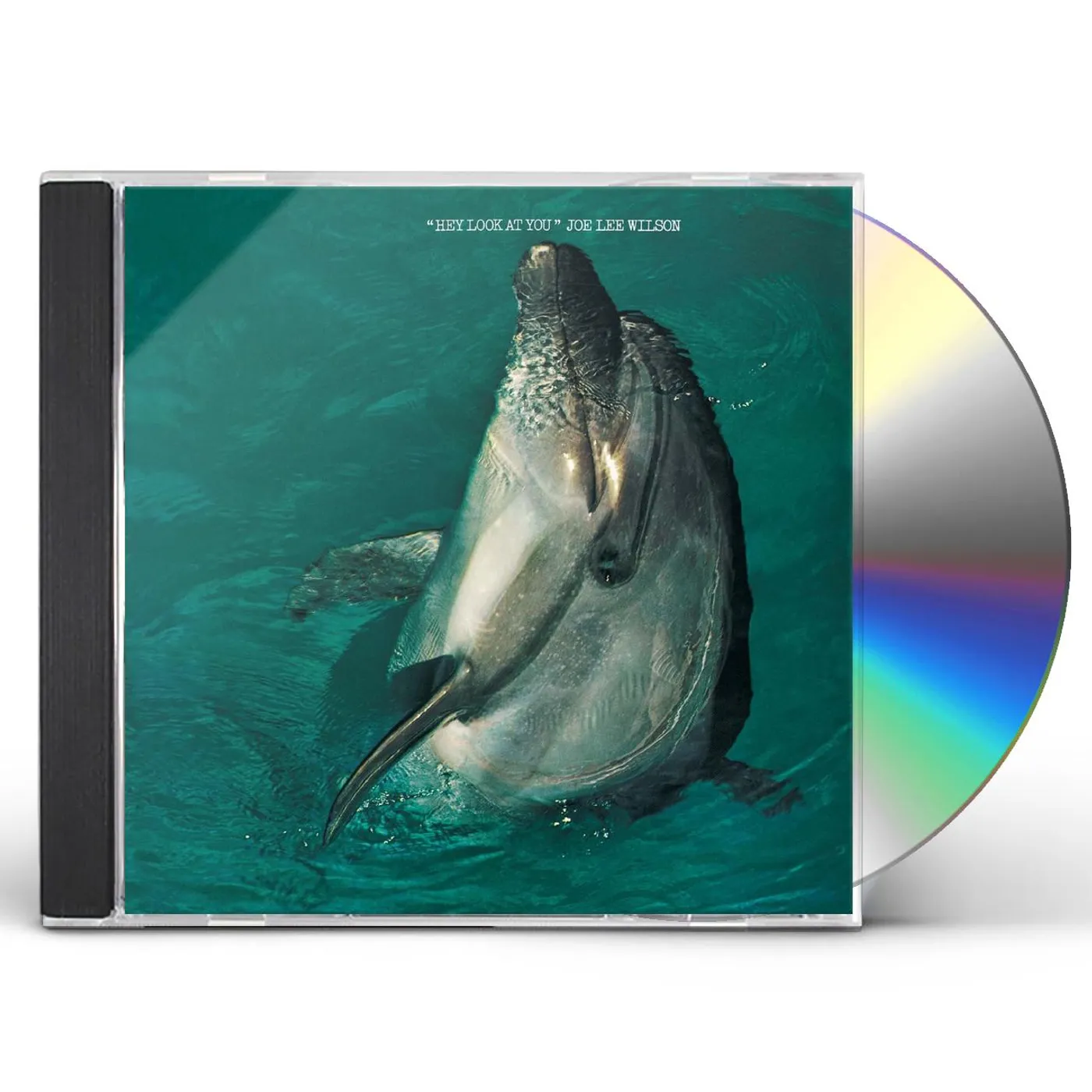 Joe Lee Wilson HEY LOOK AT YOU CD