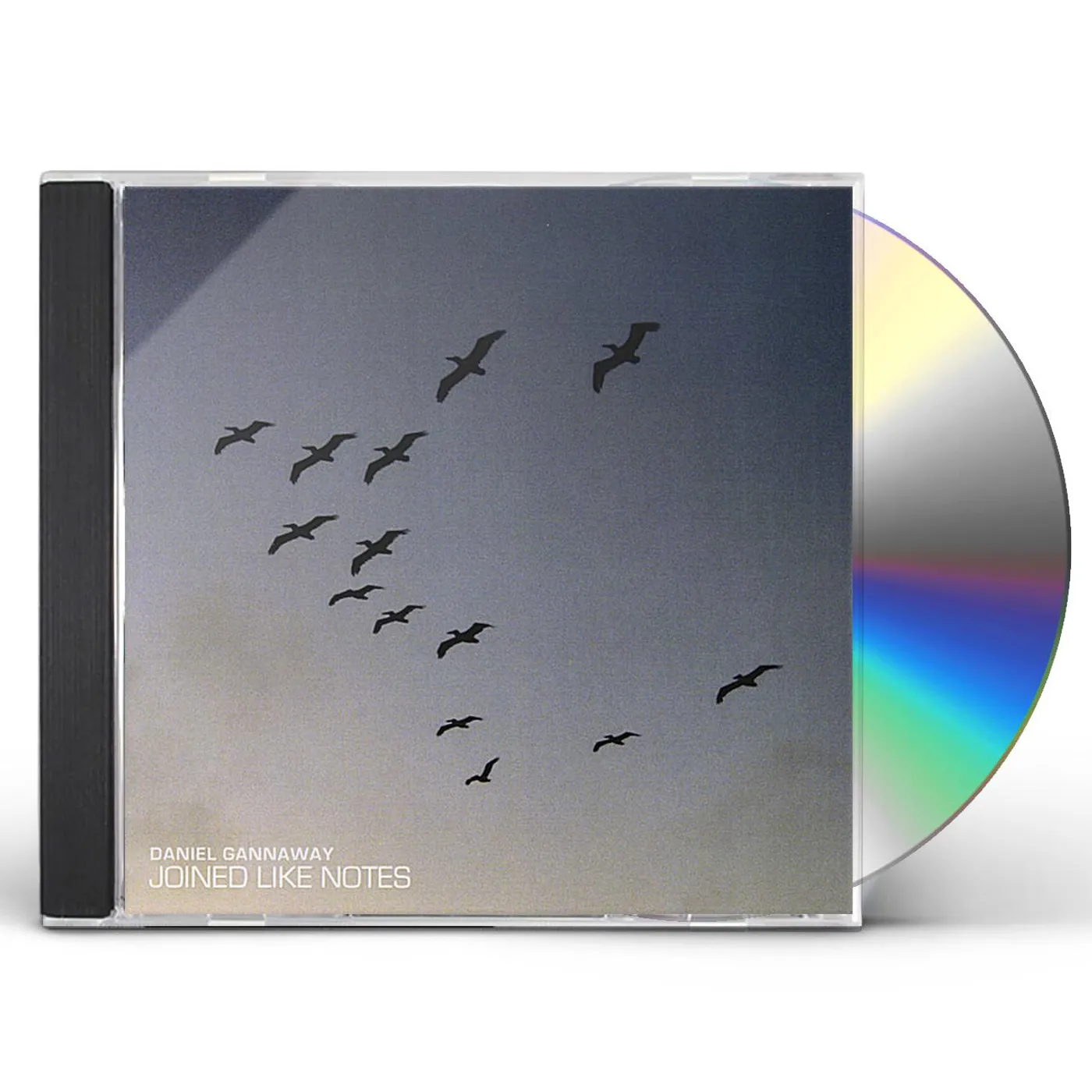 Daniel Gannaway JOINED LIKE NOTES CD
