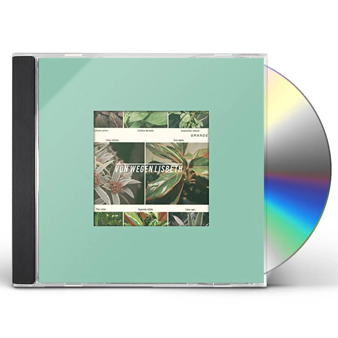 Von Wegen Lisbeth GRANDE CD
