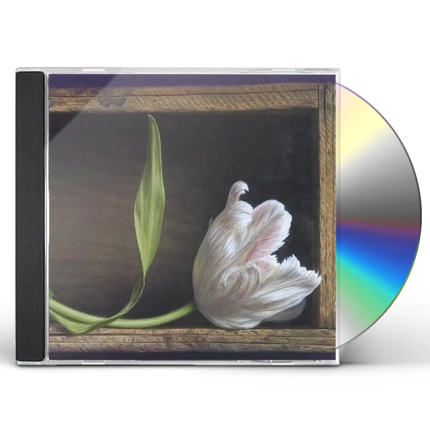 Pondering Judd LONESOME HEART STRANGERS CD
