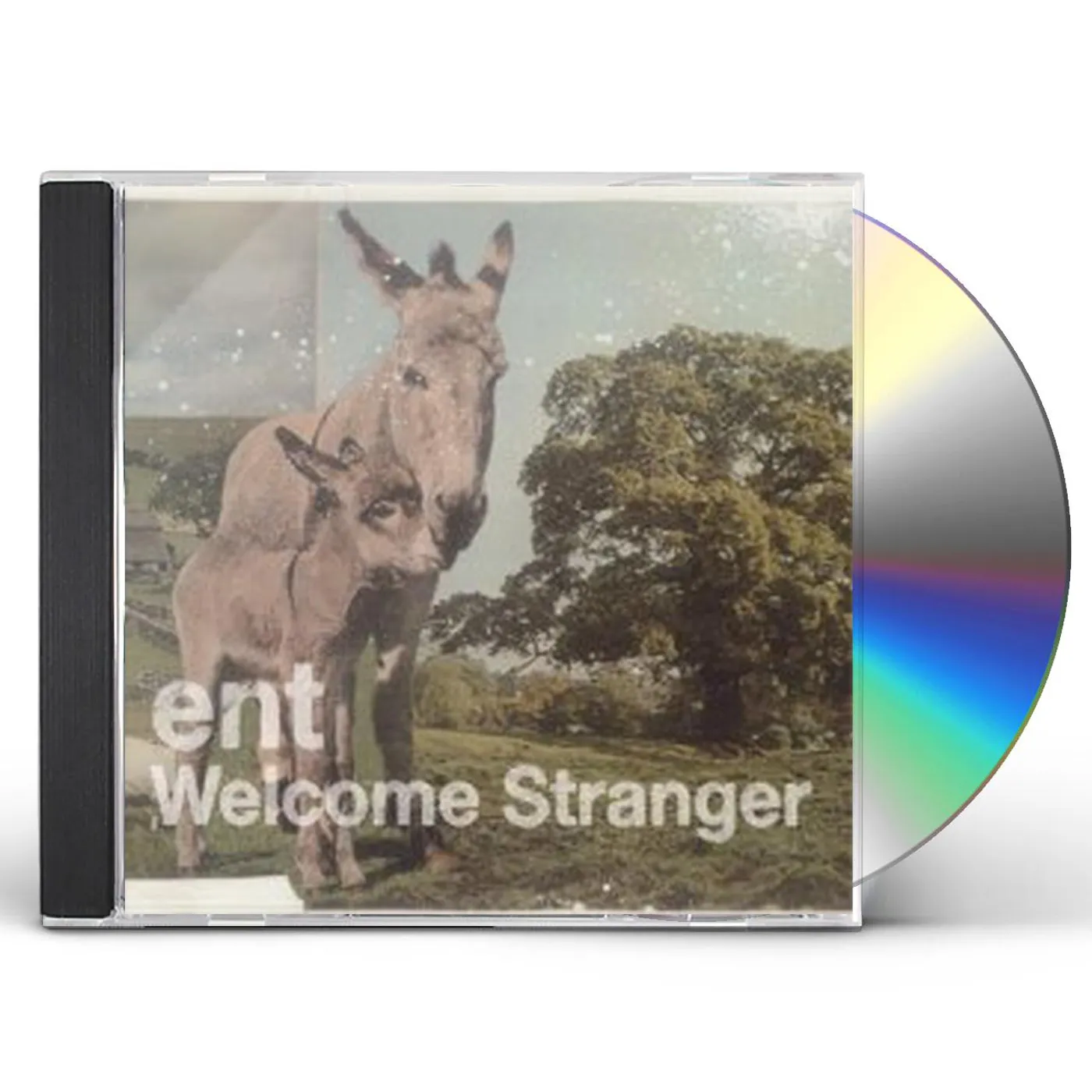 Ent WELCOME STRANGER CD