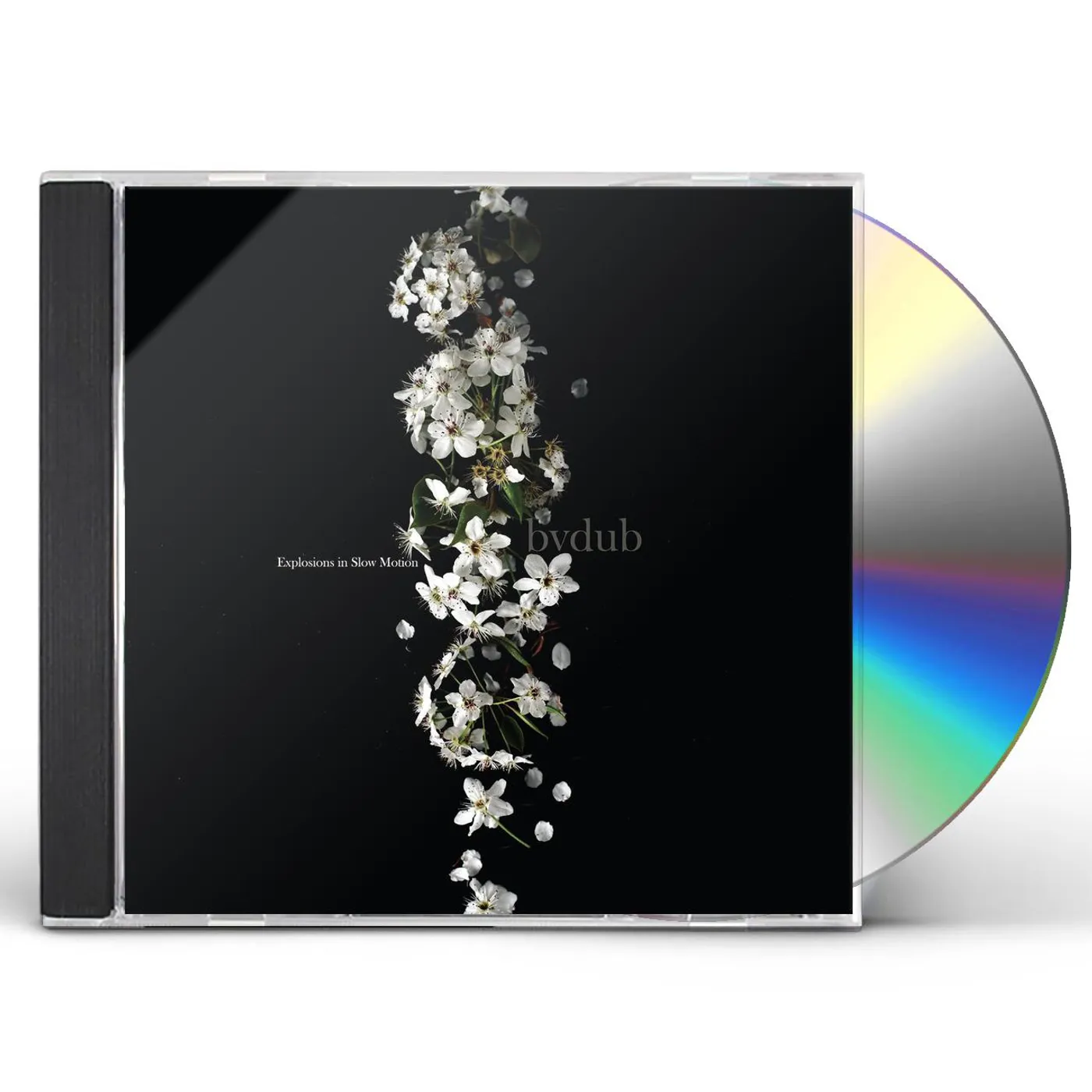 Bvdub EXPLOSIONS IN SLOW MOTION CD