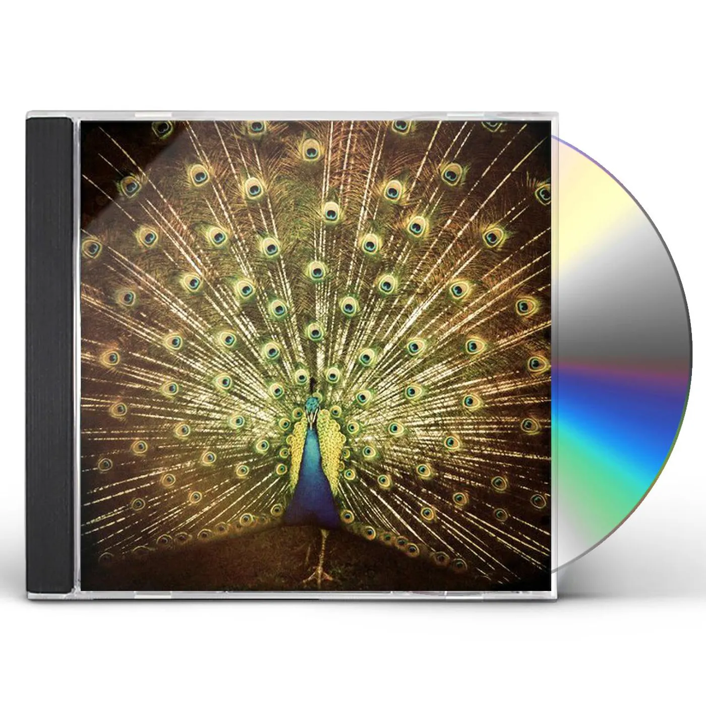 Ani DiFranco WHICH SIDE ARE YOU ON CD