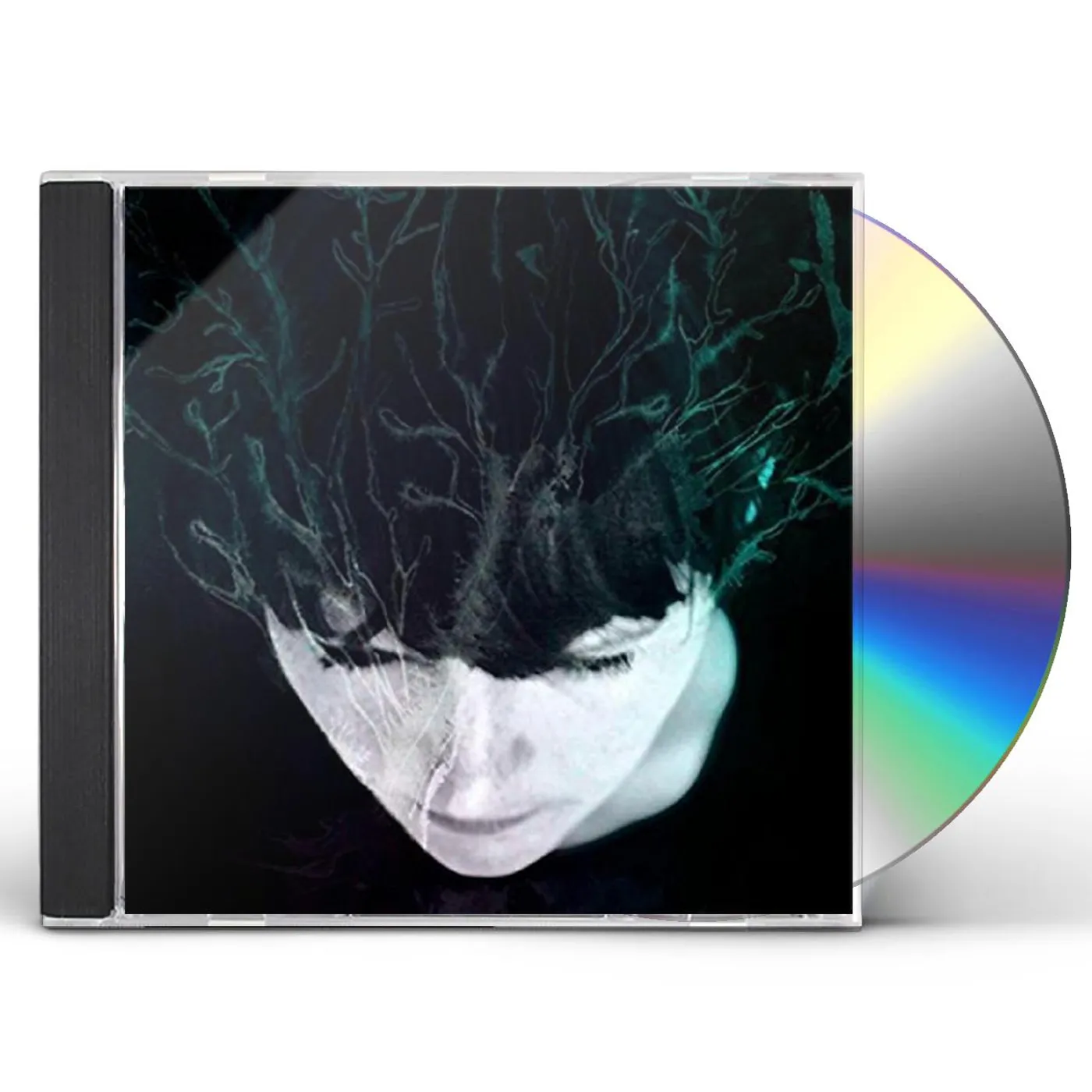 Hanne Kolstø WHILE WE STILL HAVE LIGHT CD