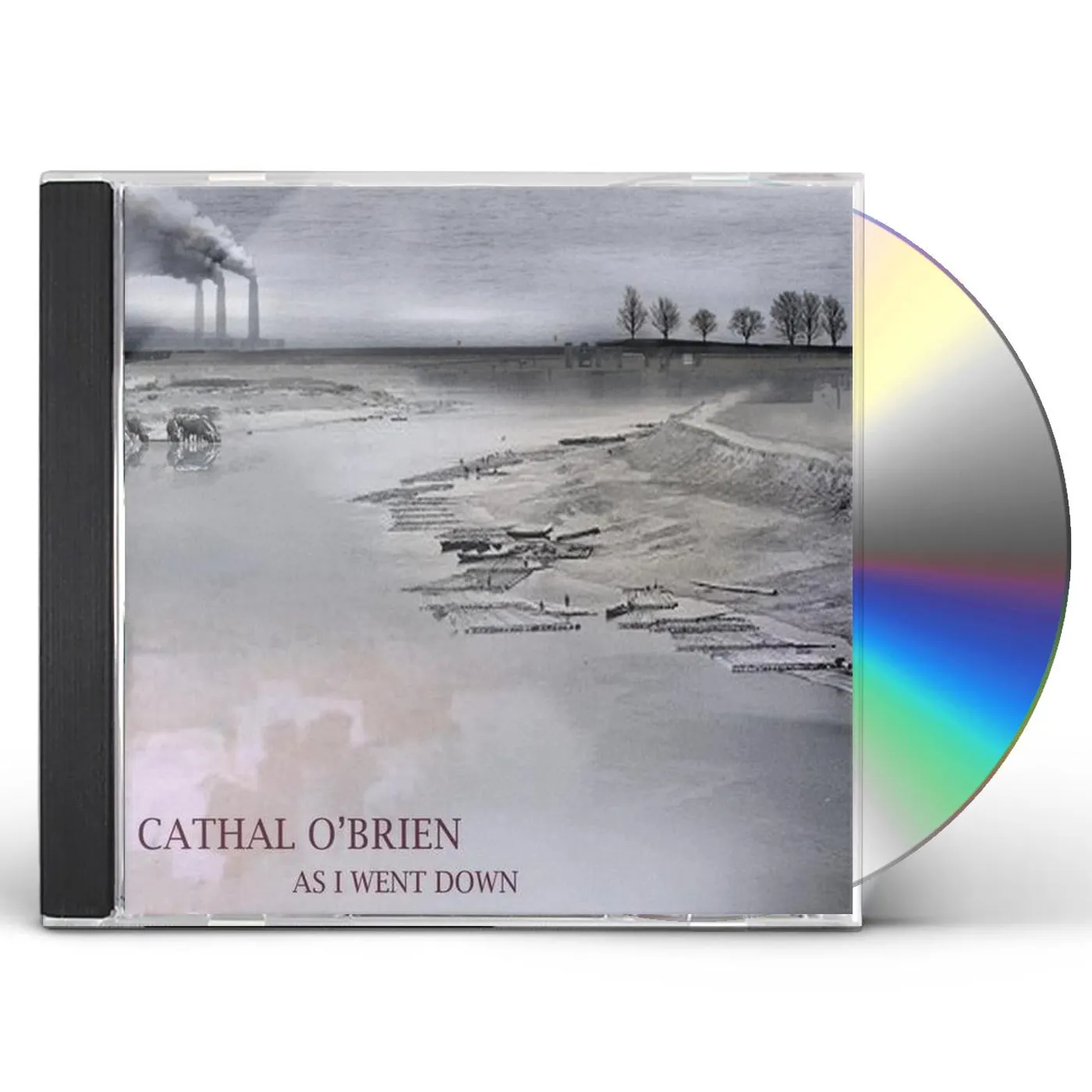 Cathal O'Brien AS I WENT DOWN CD