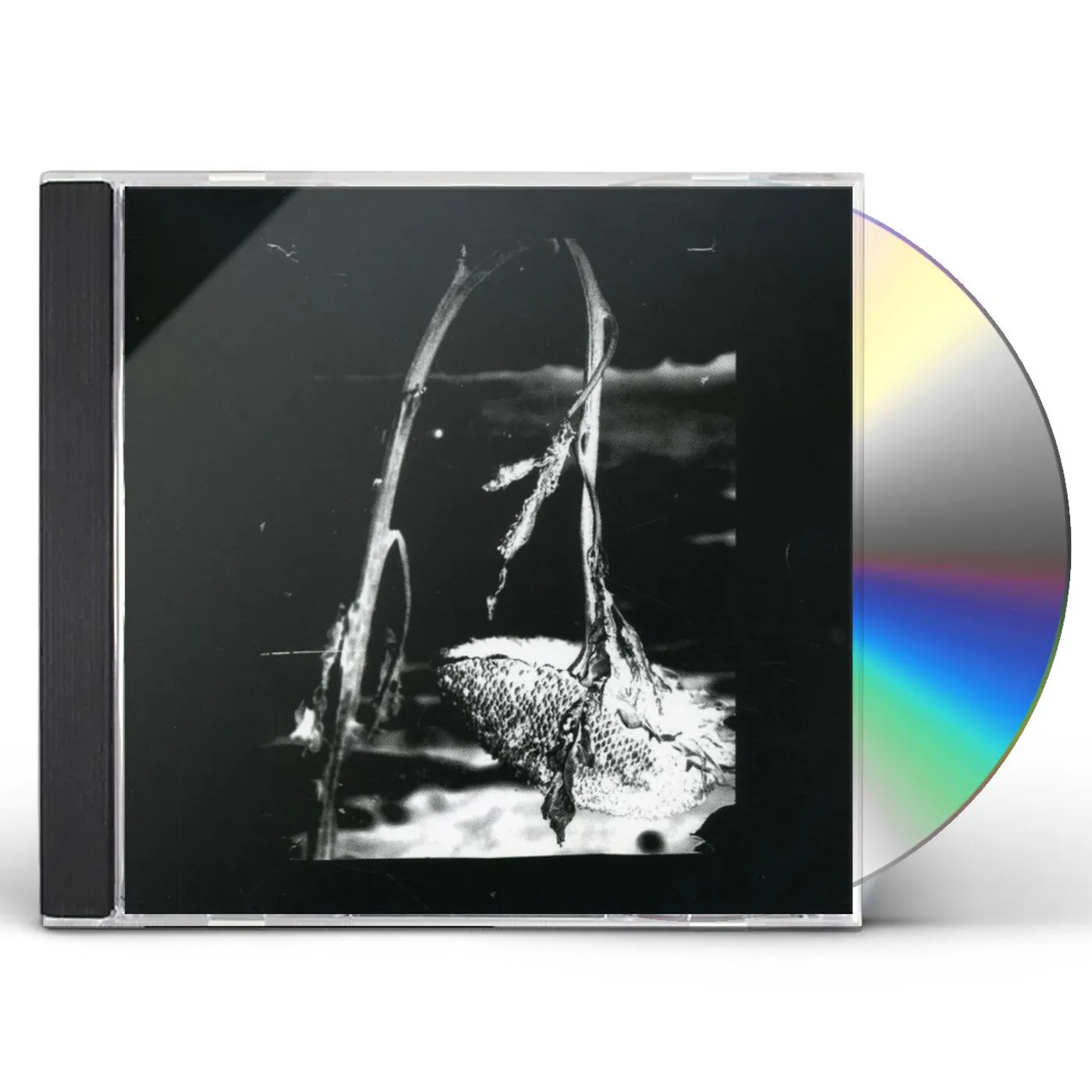 Pink Reason CLEANING THE MIRROR CD