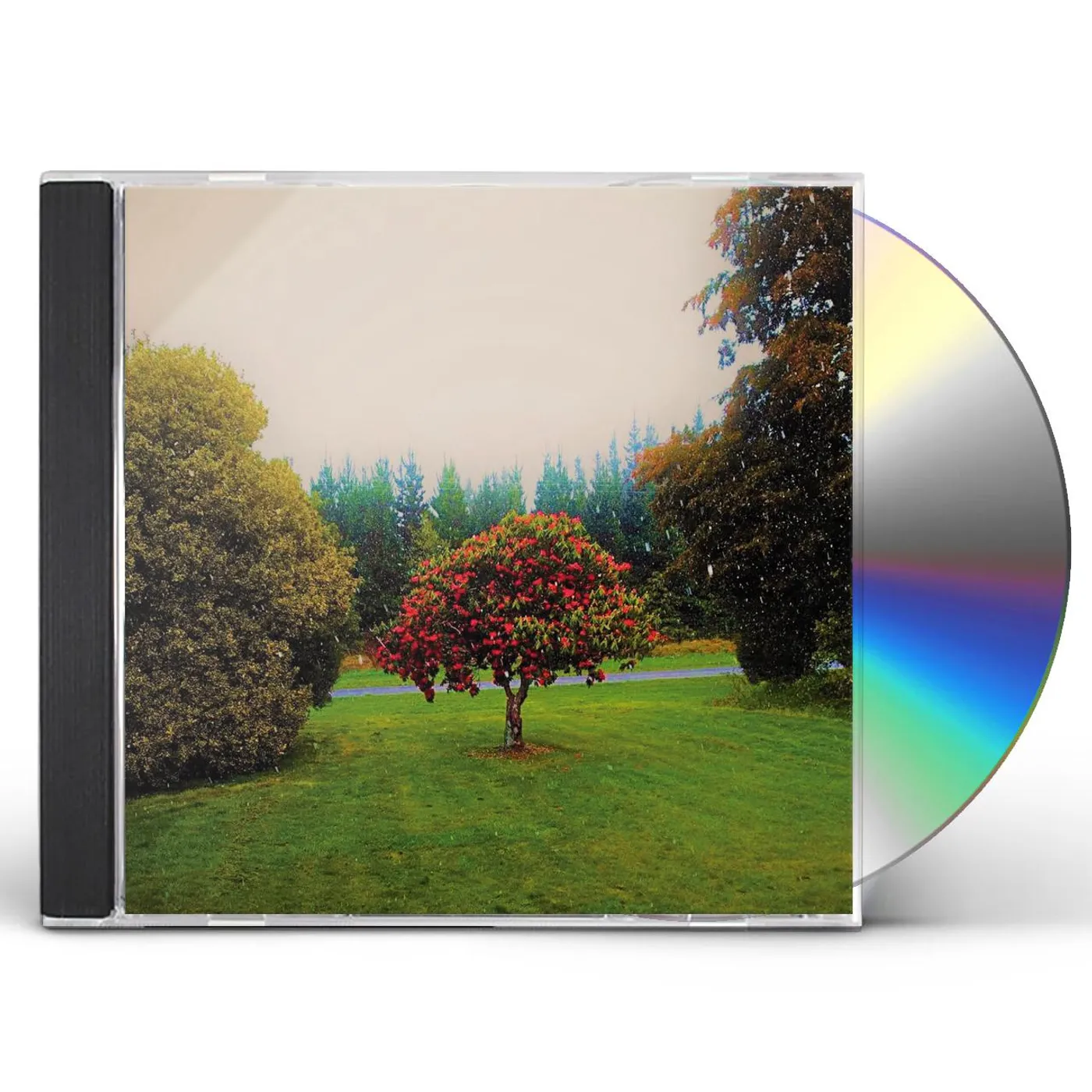The Bats FOOTHILLS CD