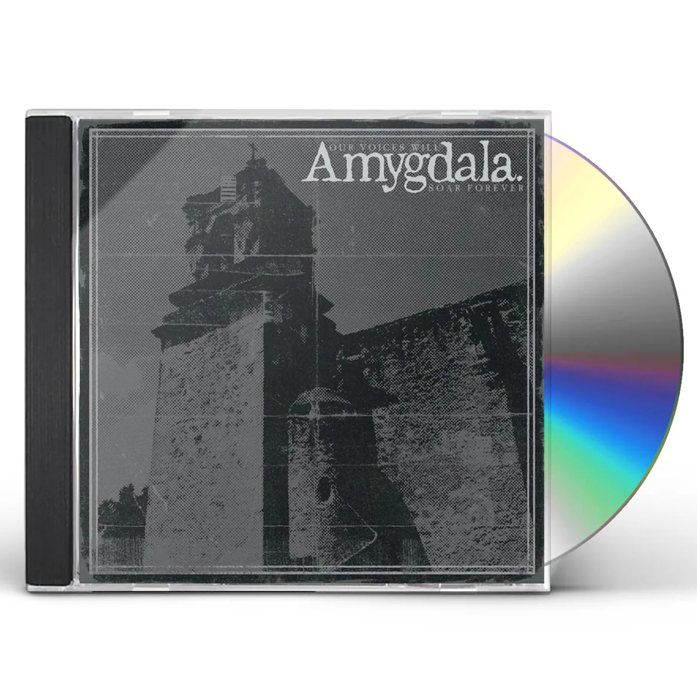 Amygdala OUR VOICES WILL SOAR FOREVER CD