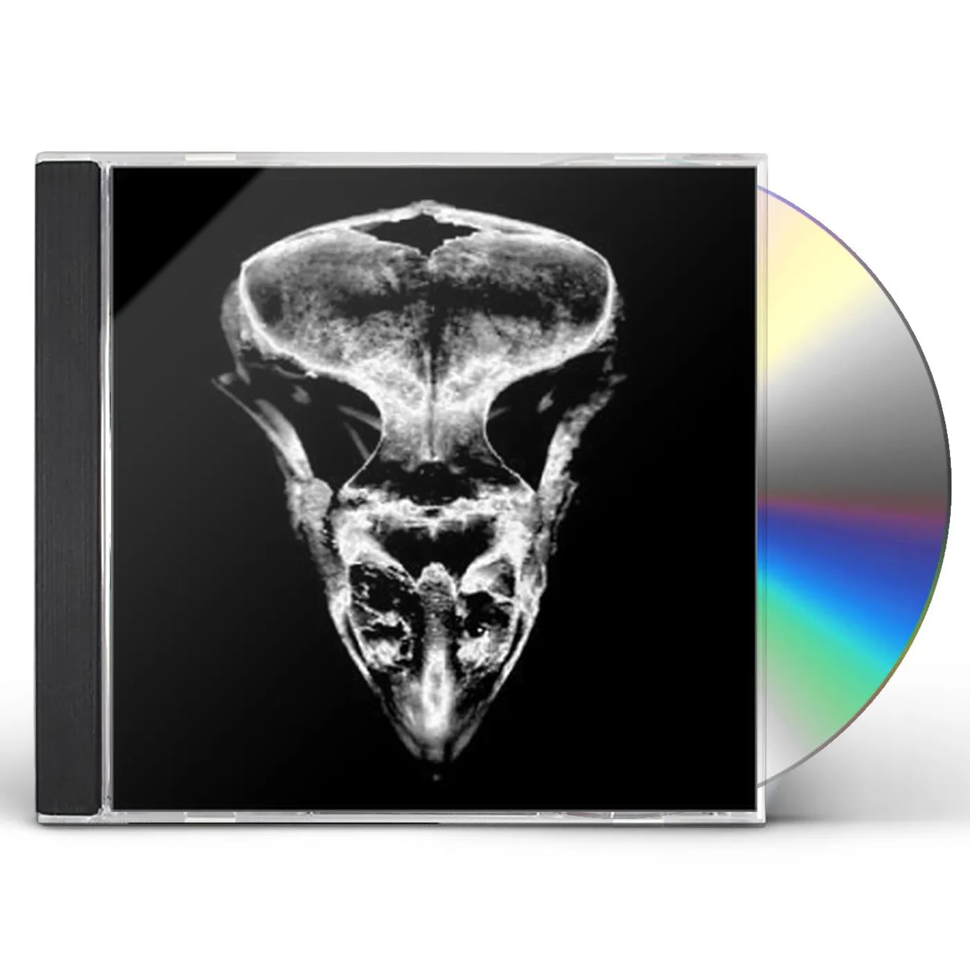 TRACY G GROUP CD