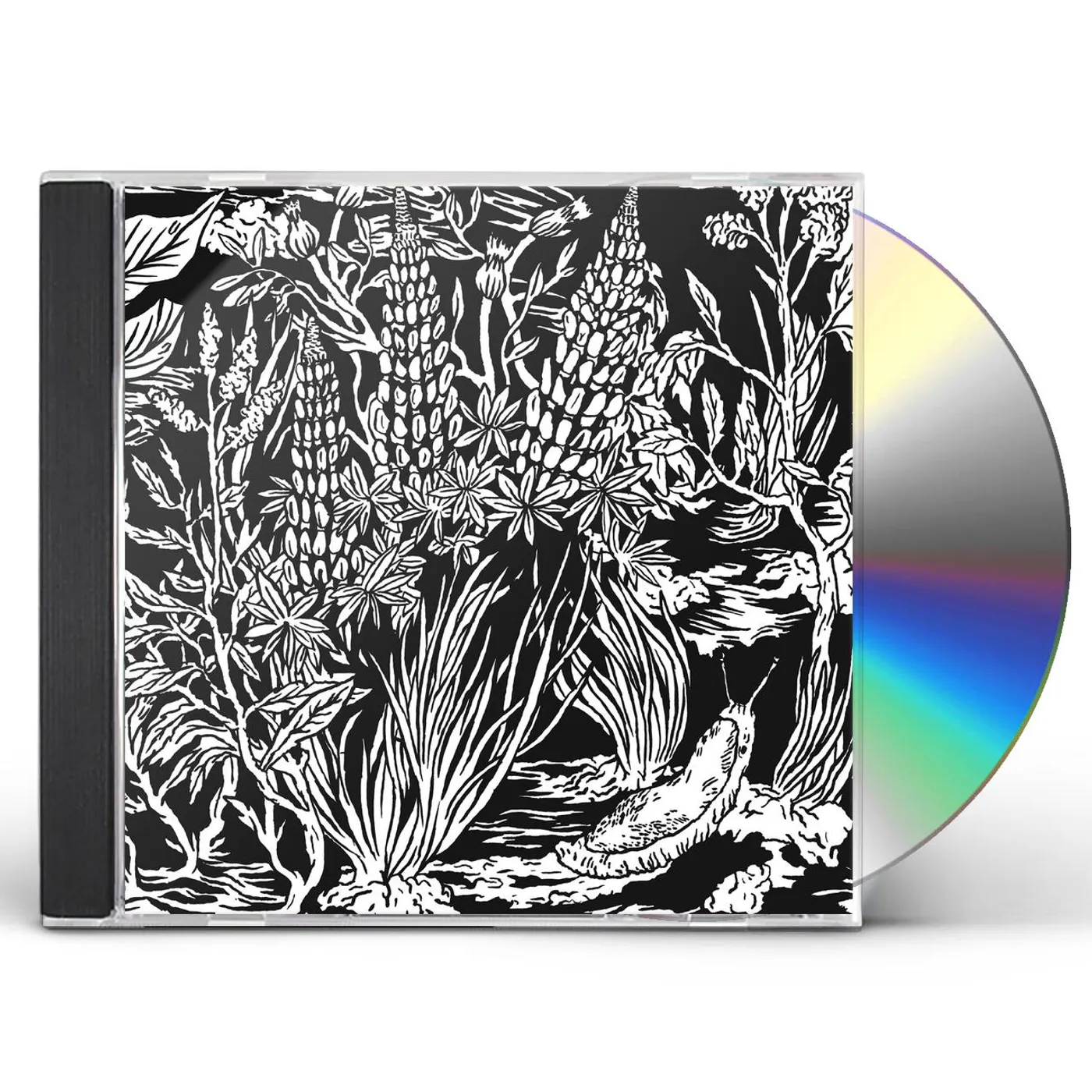 Eternal Tapestry WILD STRAWBERRIES CD
