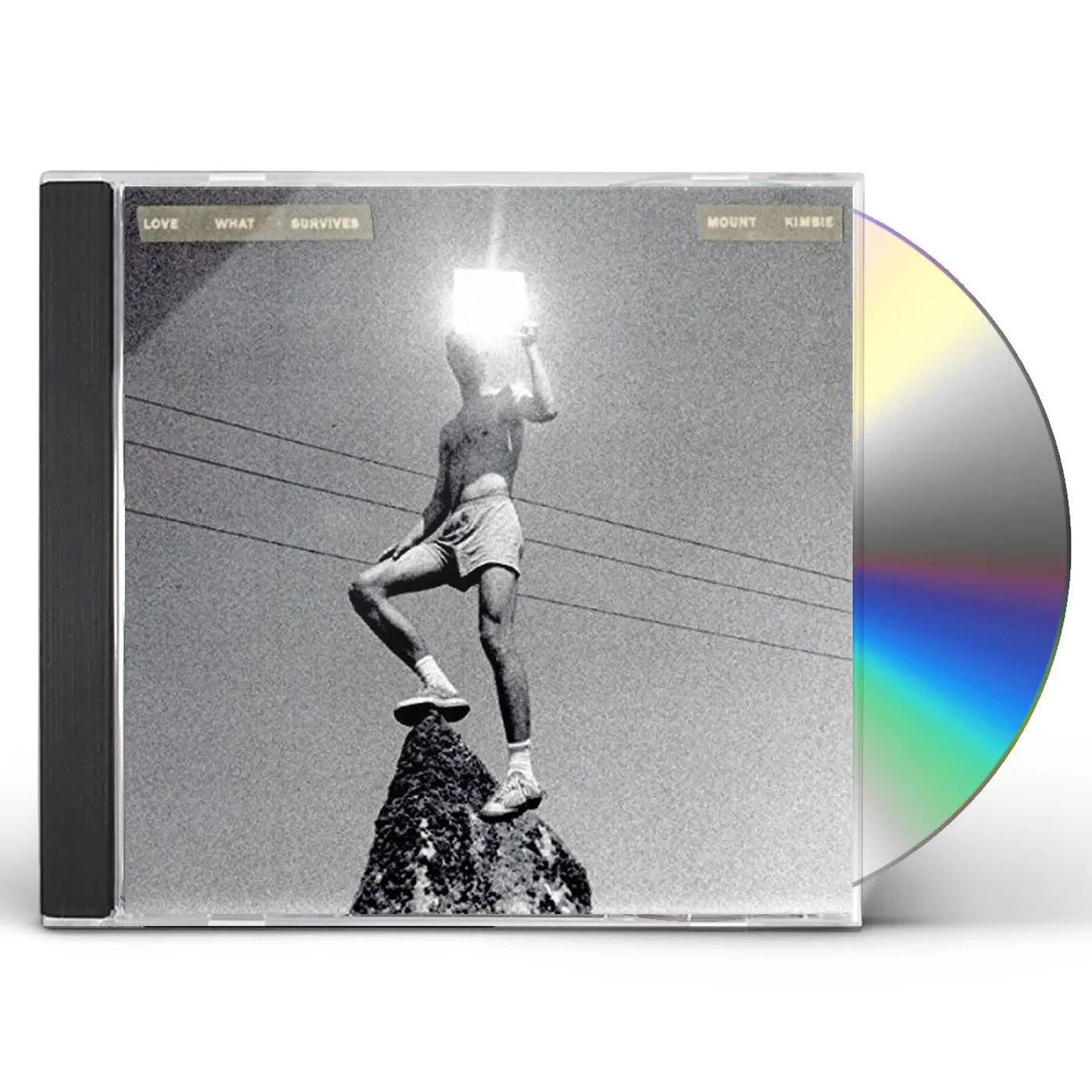 Mount Kimbie LOVE WHAT SURVIVES CD