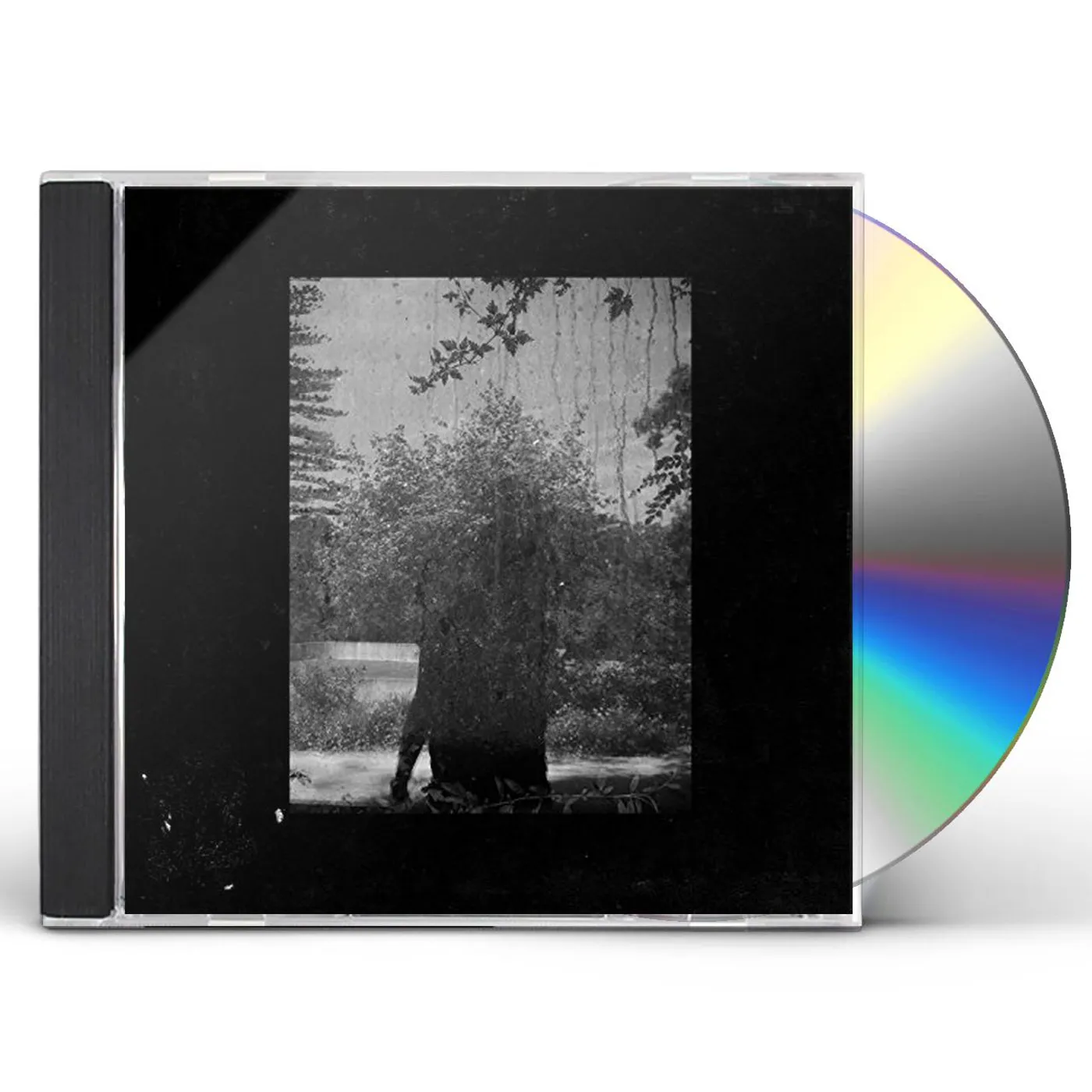 Grouper RUINS CD