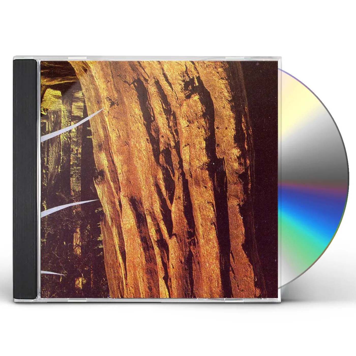 TREEFIGHT FOR SUNLIGHT CD