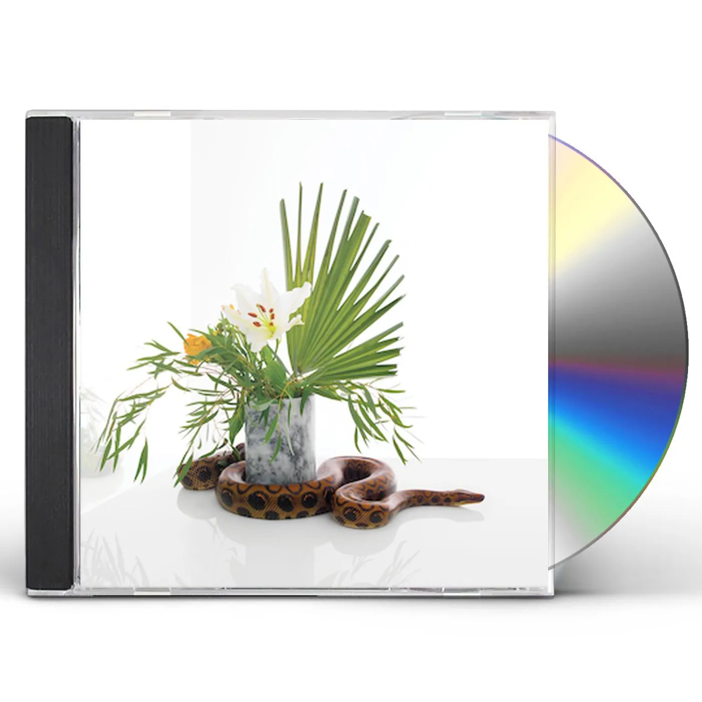 Noah Gundersen WHITE NOISE CD